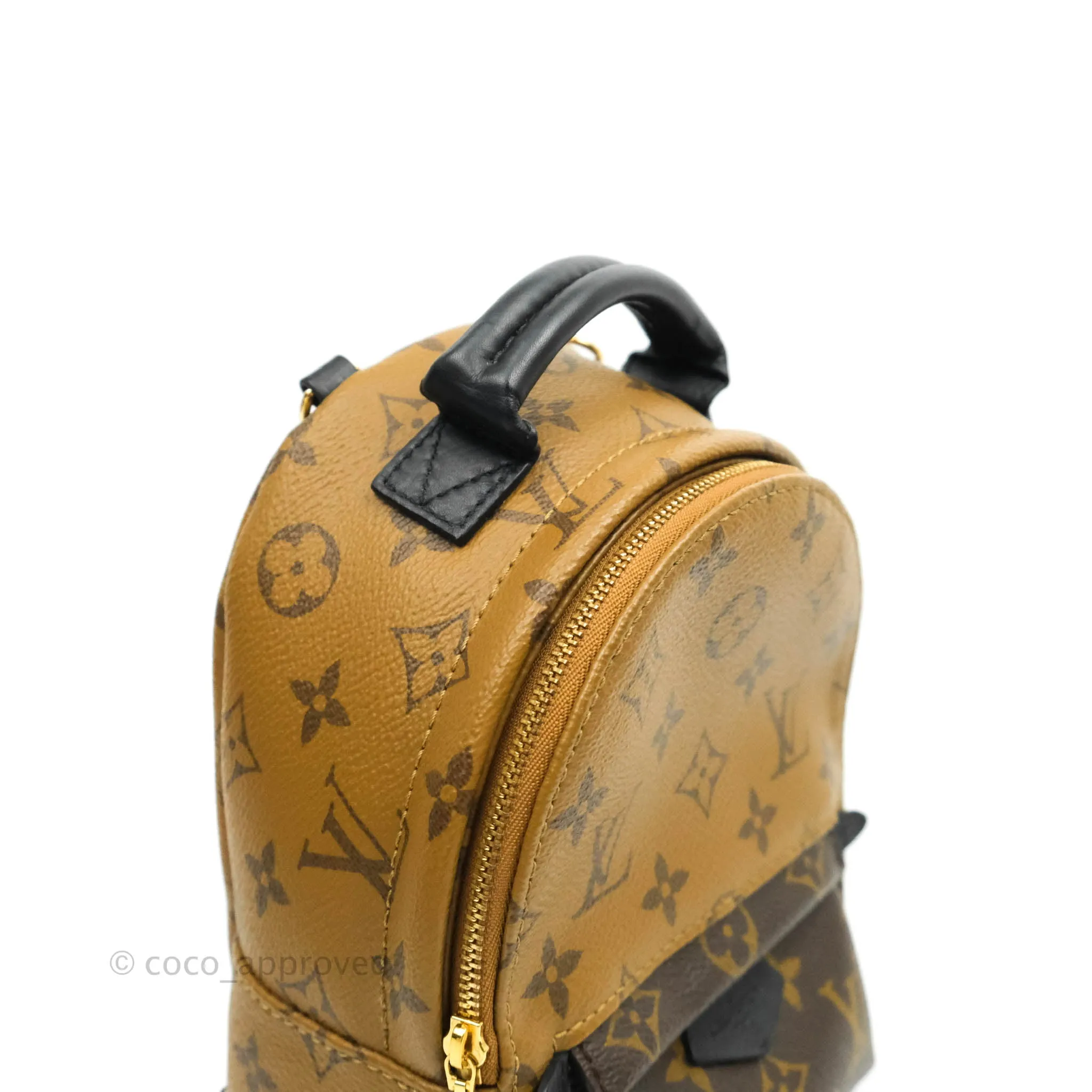 Louis Vuitton Mini Reverse Monogram Palm Springs Backpack