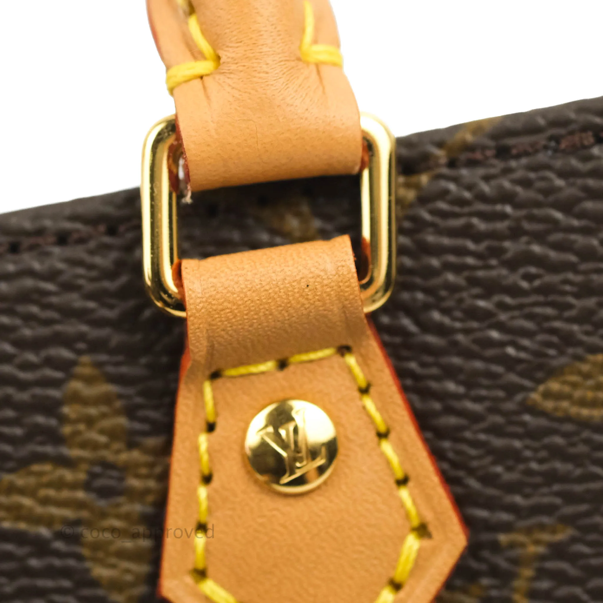 Louis Vuitton Monogram Canvas Petit Sac Plat bag