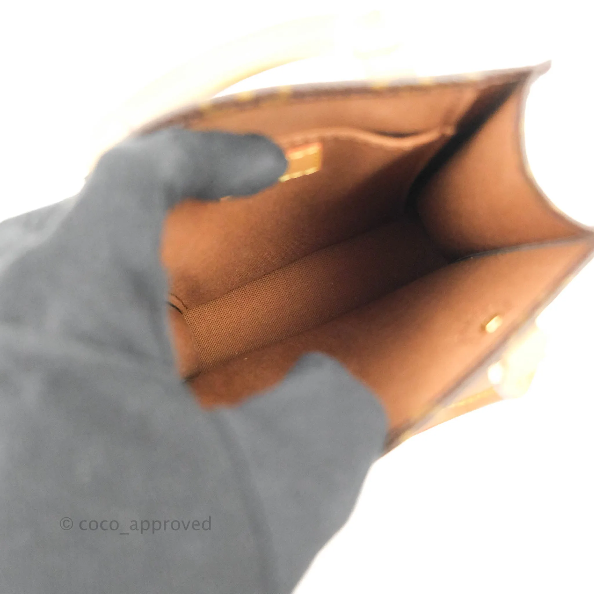 Louis Vuitton Monogram Canvas Petit Sac Plat bag