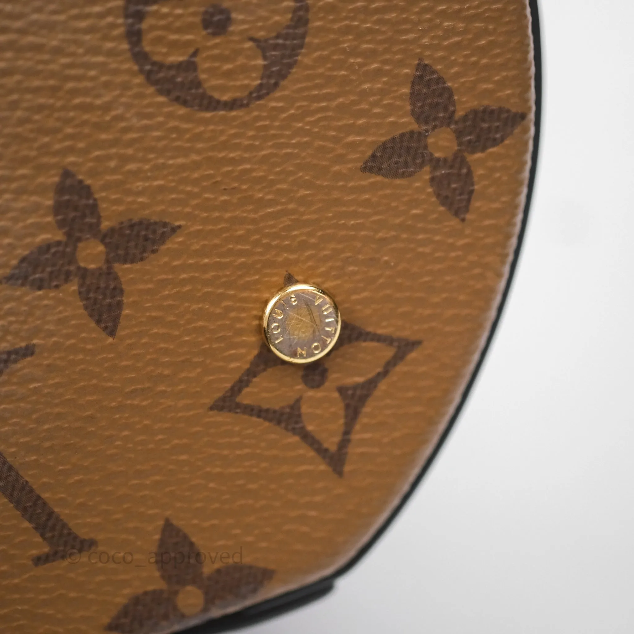 Louis Vuitton Monogram Canvas Reverse Cannes Bag
