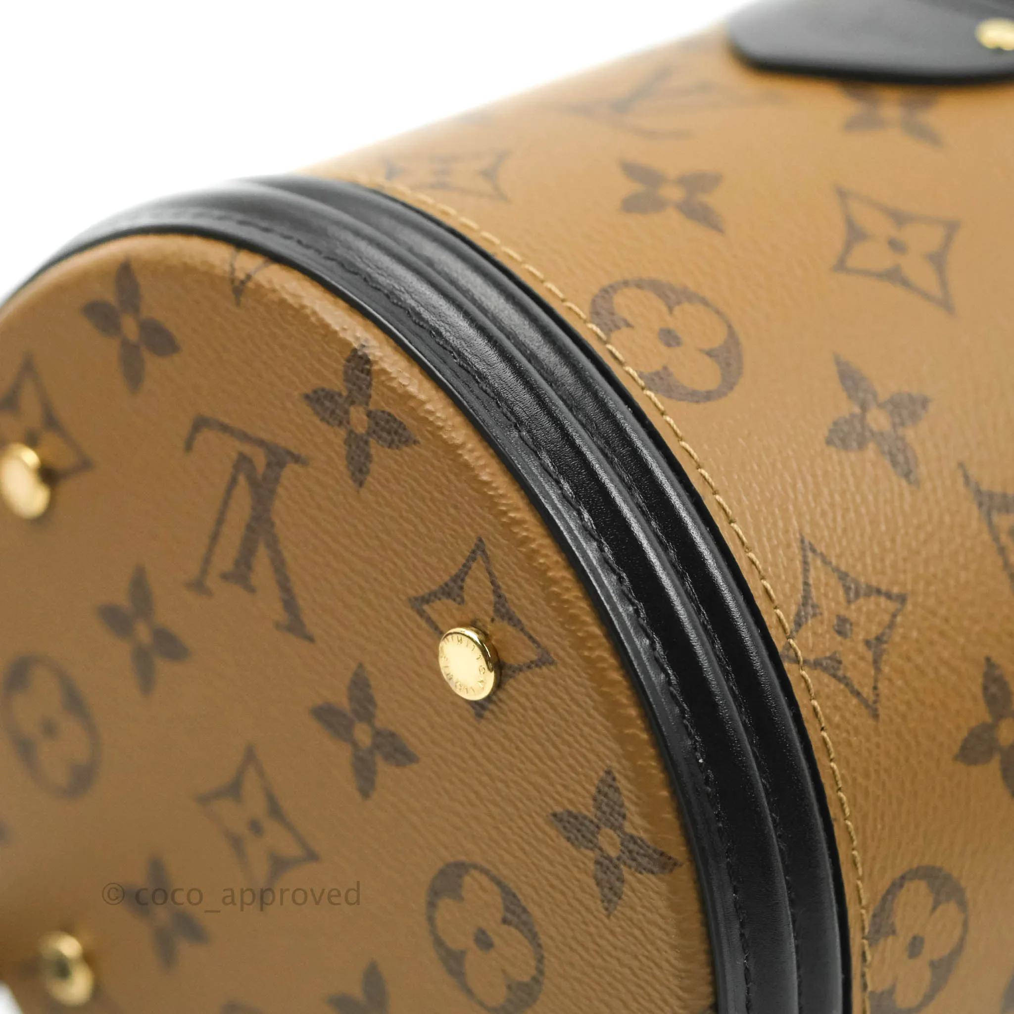 Louis Vuitton Monogram Canvas Reverse Cannes Bag