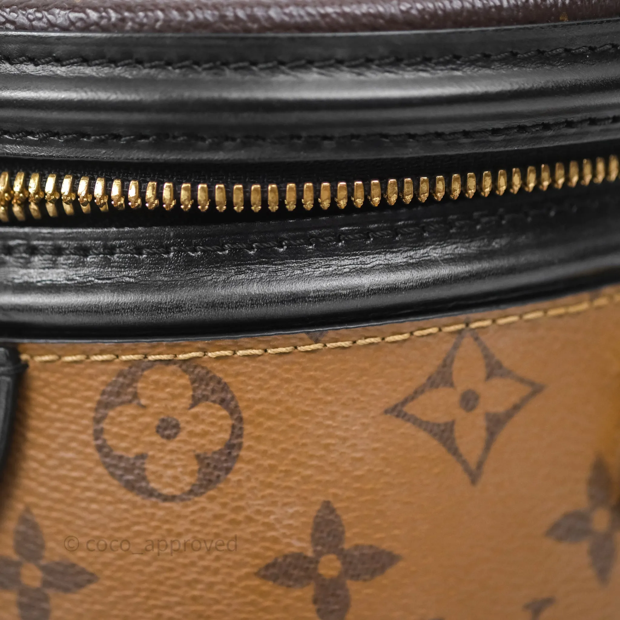 Louis Vuitton Monogram Canvas Reverse Cannes Bag