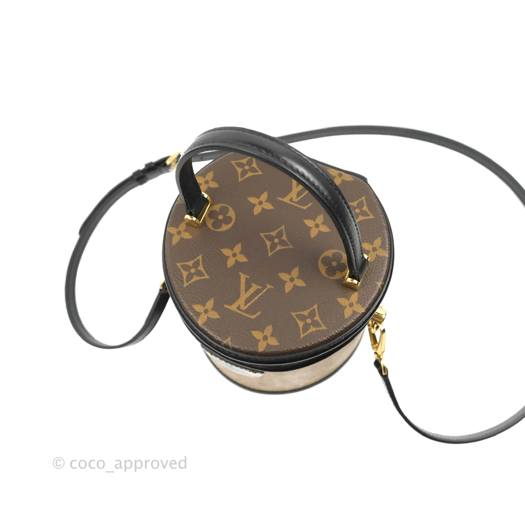 Louis Vuitton Monogram Canvas Reverse Cannes Bag