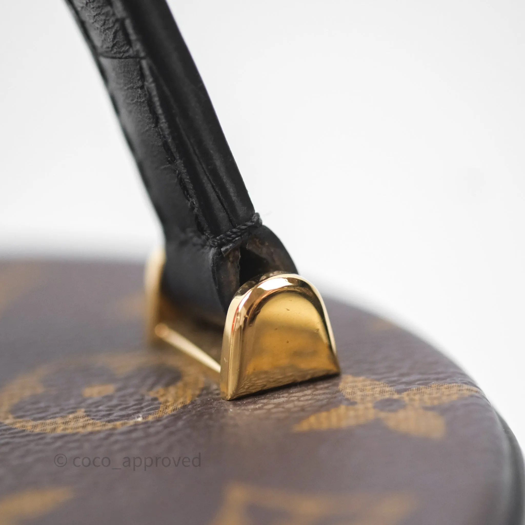Louis Vuitton Monogram Canvas Reverse Cannes Bag