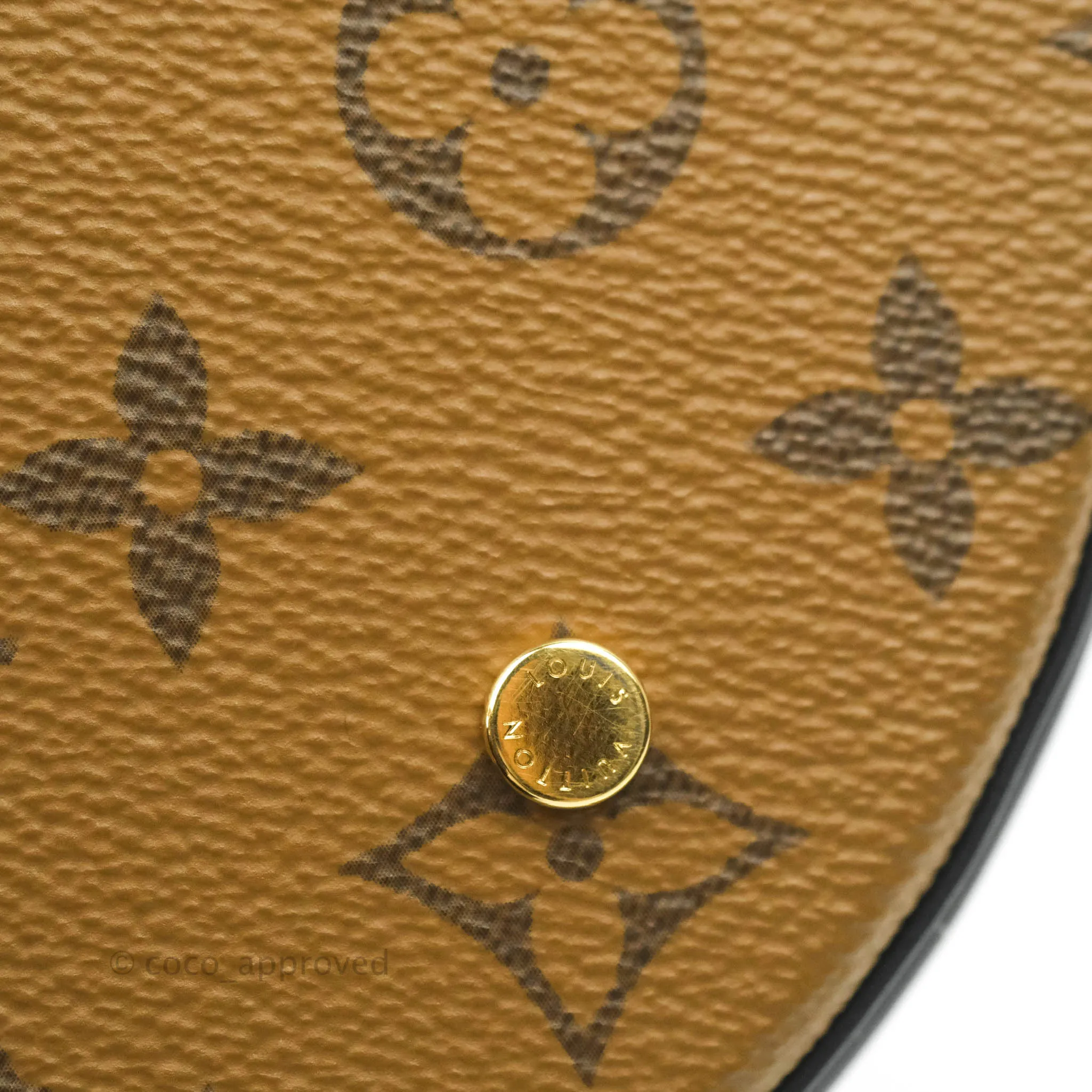 Louis Vuitton Monogram Canvas Reverse Cannes Bag