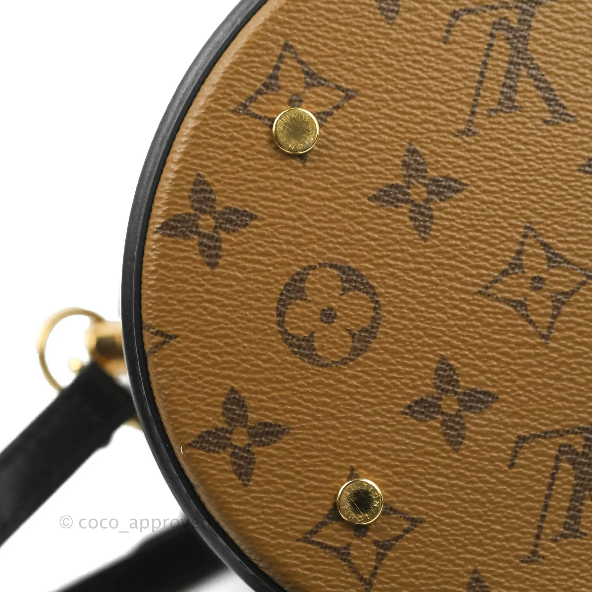 Louis Vuitton Monogram Canvas Reverse Cannes Bag