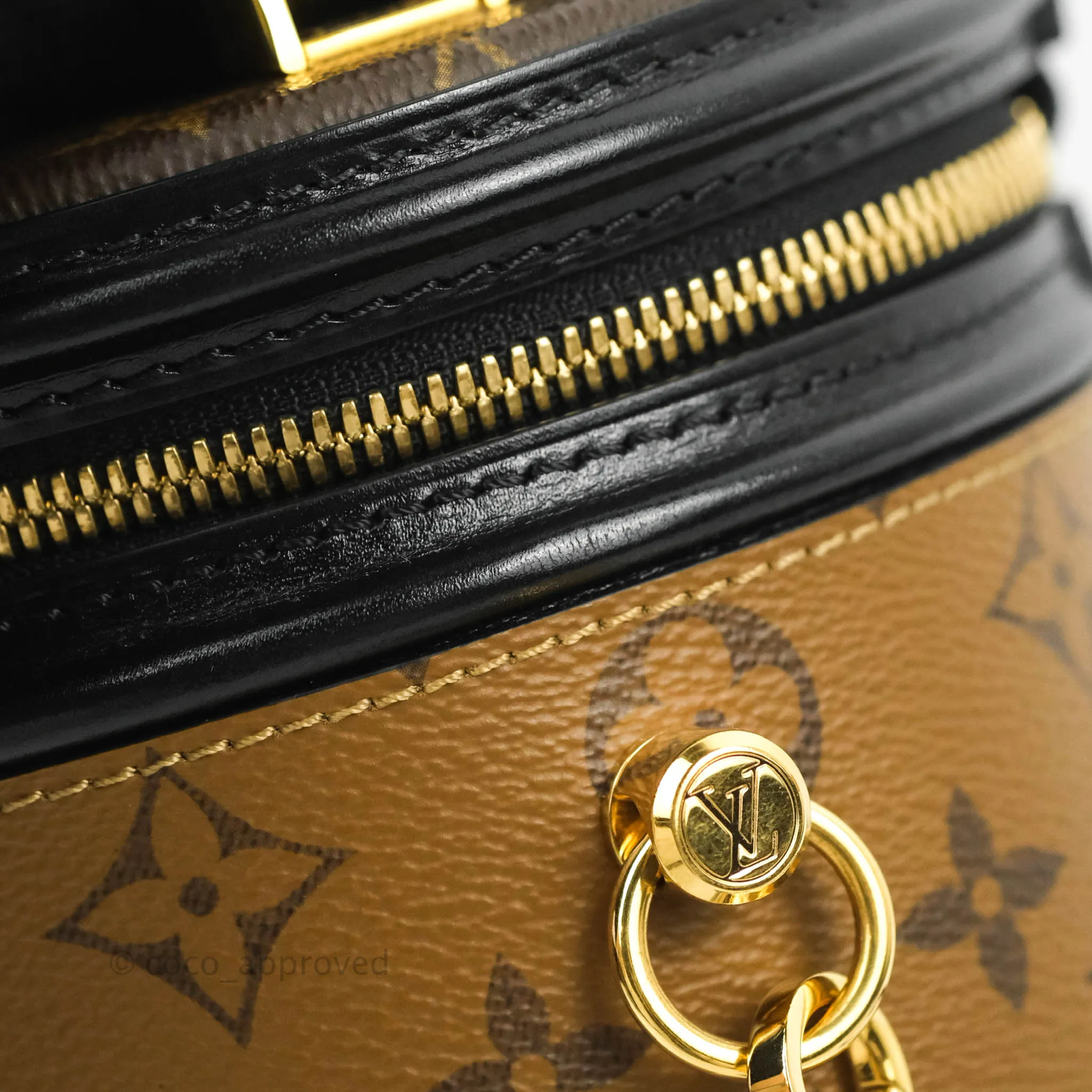 Louis Vuitton Monogram Canvas Reverse Cannes Bag