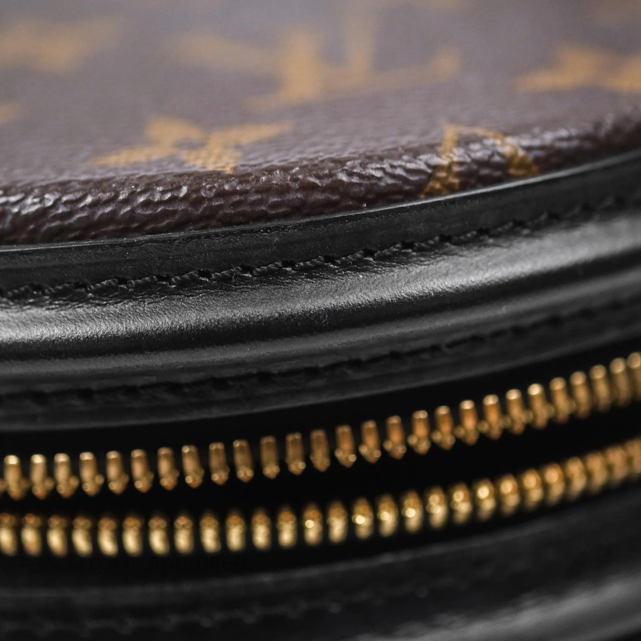Louis Vuitton Monogram Canvas Reverse Cannes Bag