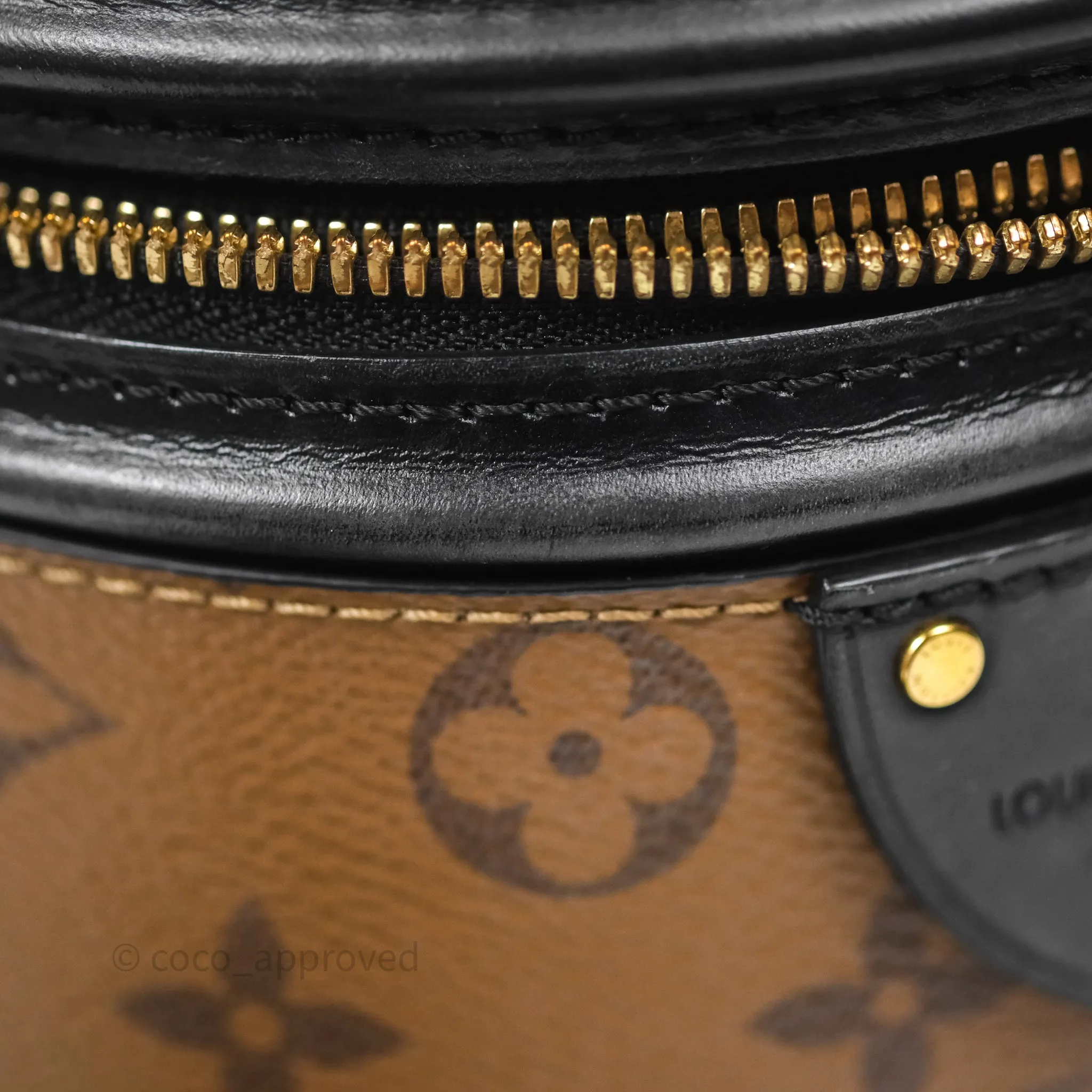 Louis Vuitton Monogram Canvas Reverse Cannes Bag