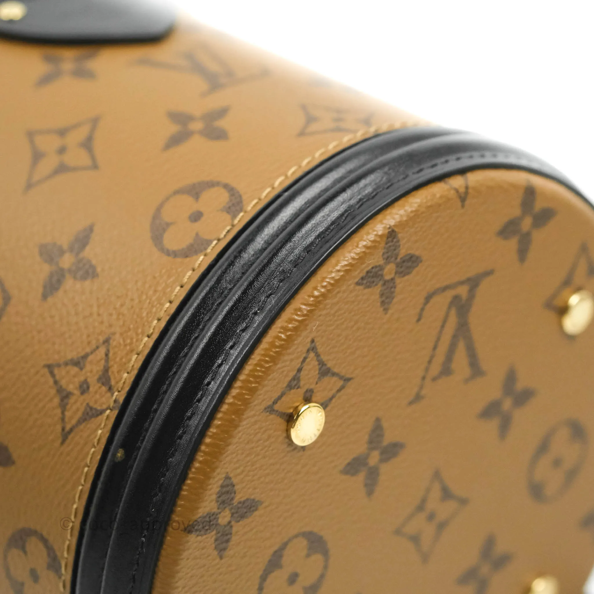 Louis Vuitton Monogram Canvas Reverse Cannes Bag
