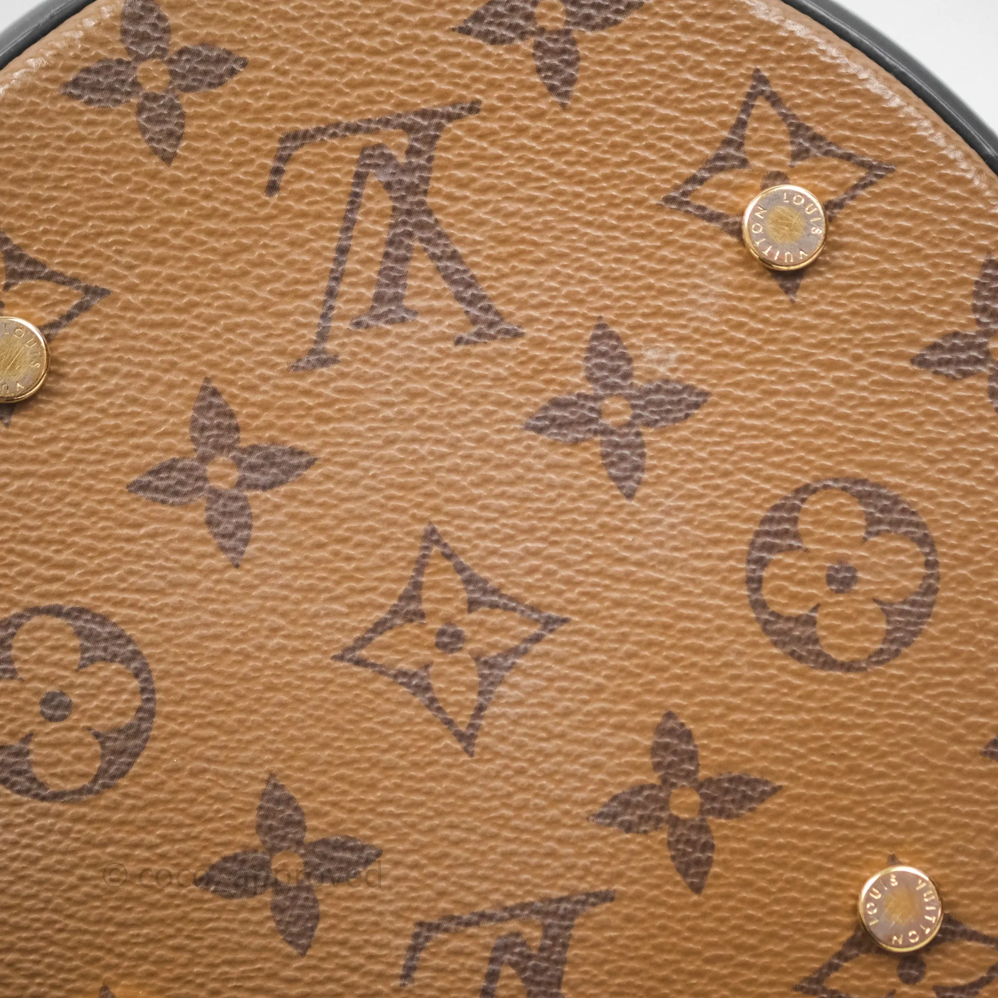 Louis Vuitton Monogram Canvas Reverse Cannes Bag