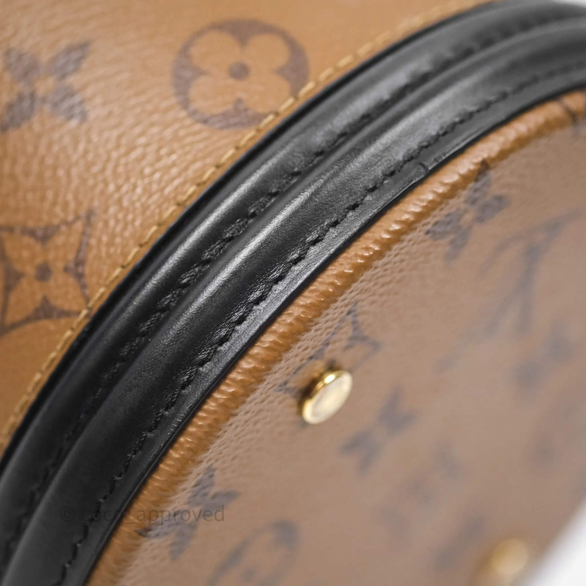 Louis Vuitton Monogram Canvas Reverse Cannes Bag