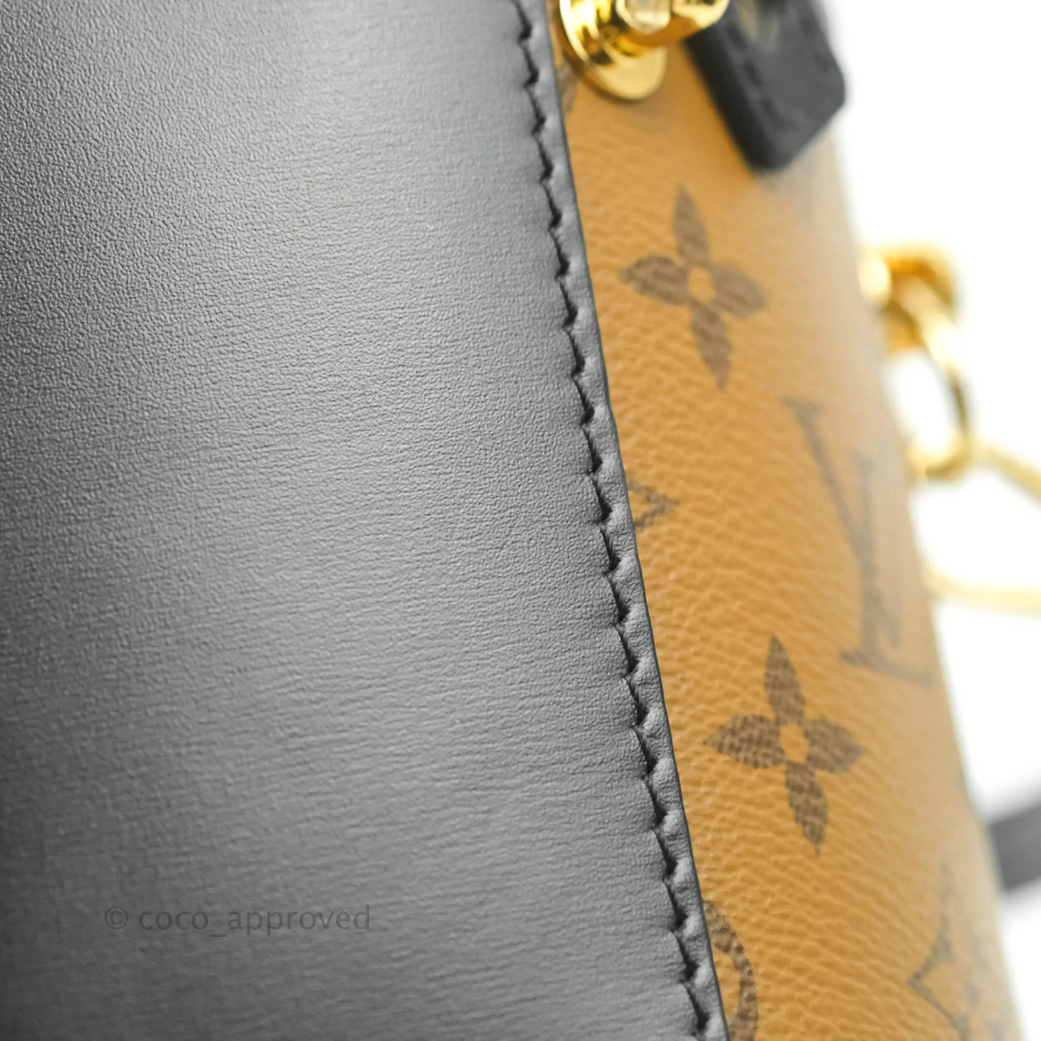 Louis Vuitton Monogram Canvas Reverse Cannes Bag