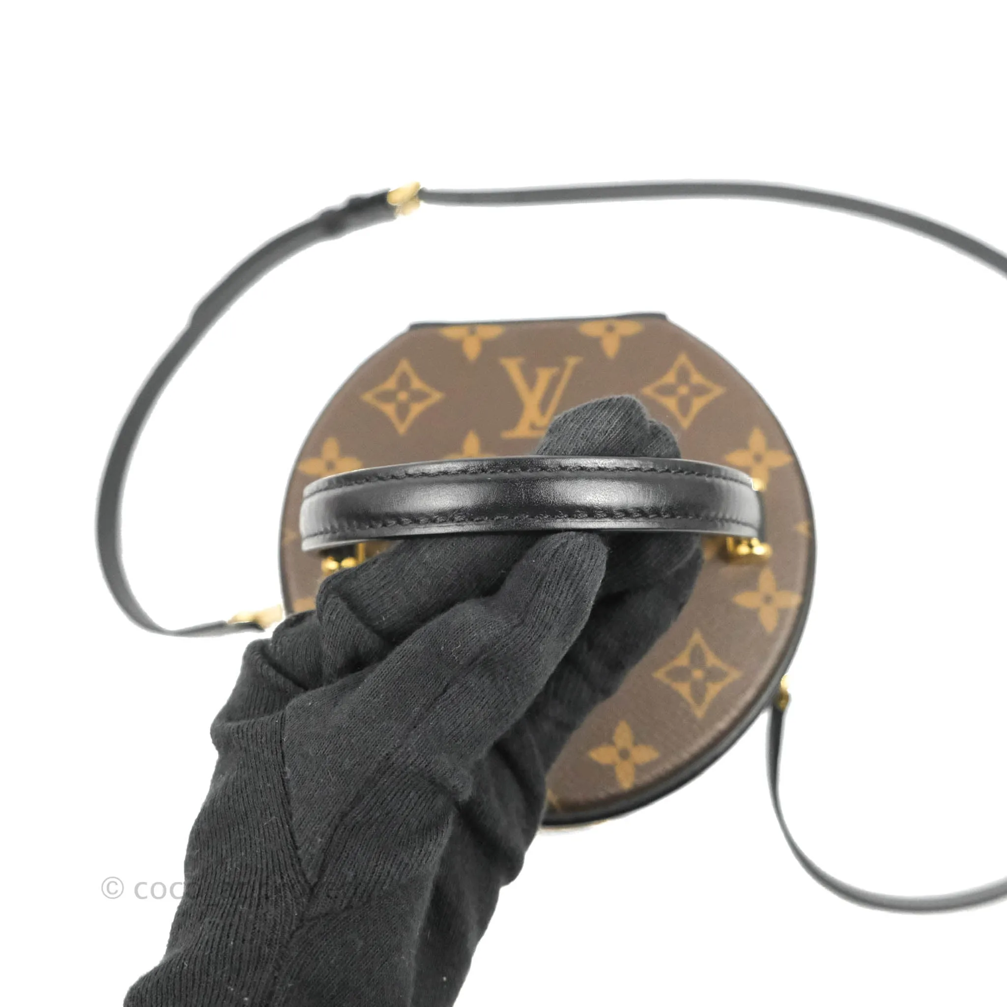 Louis Vuitton Monogram Canvas Reverse Cannes Bag