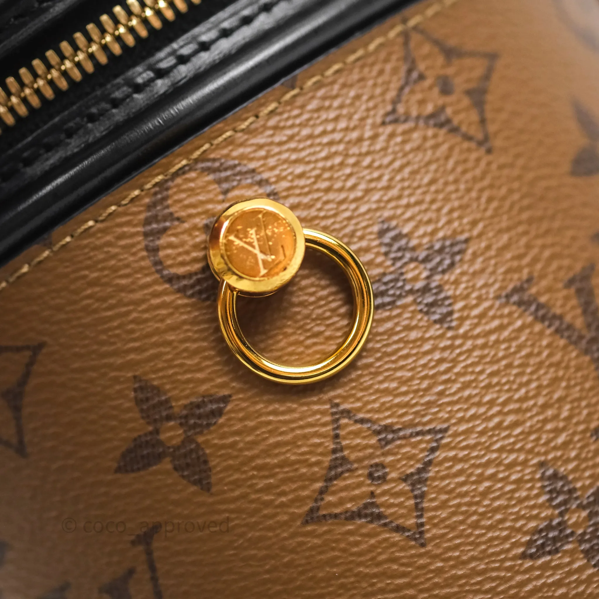 Louis Vuitton Monogram Canvas Reverse Cannes Bag