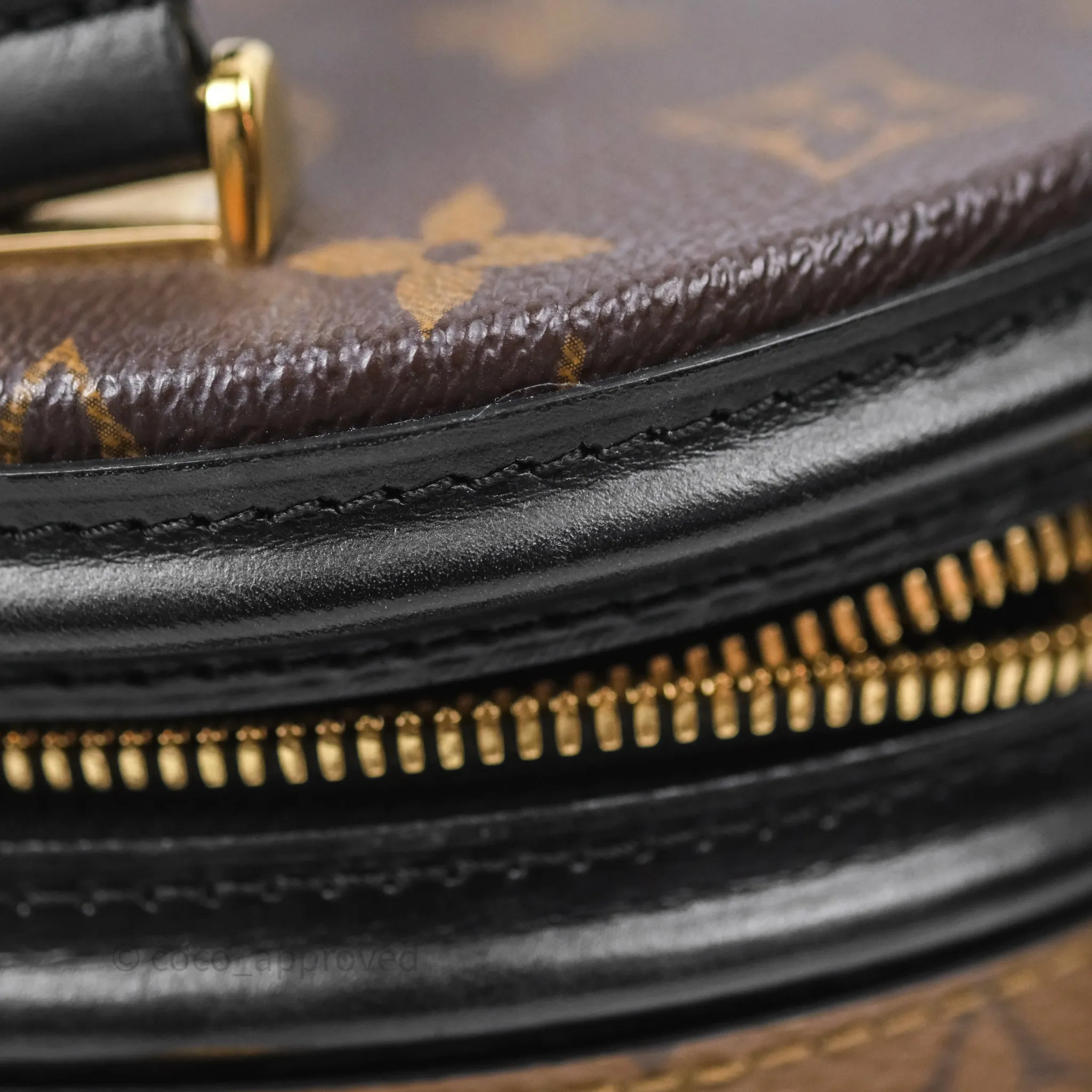 Louis Vuitton Monogram Canvas Reverse Cannes Bag