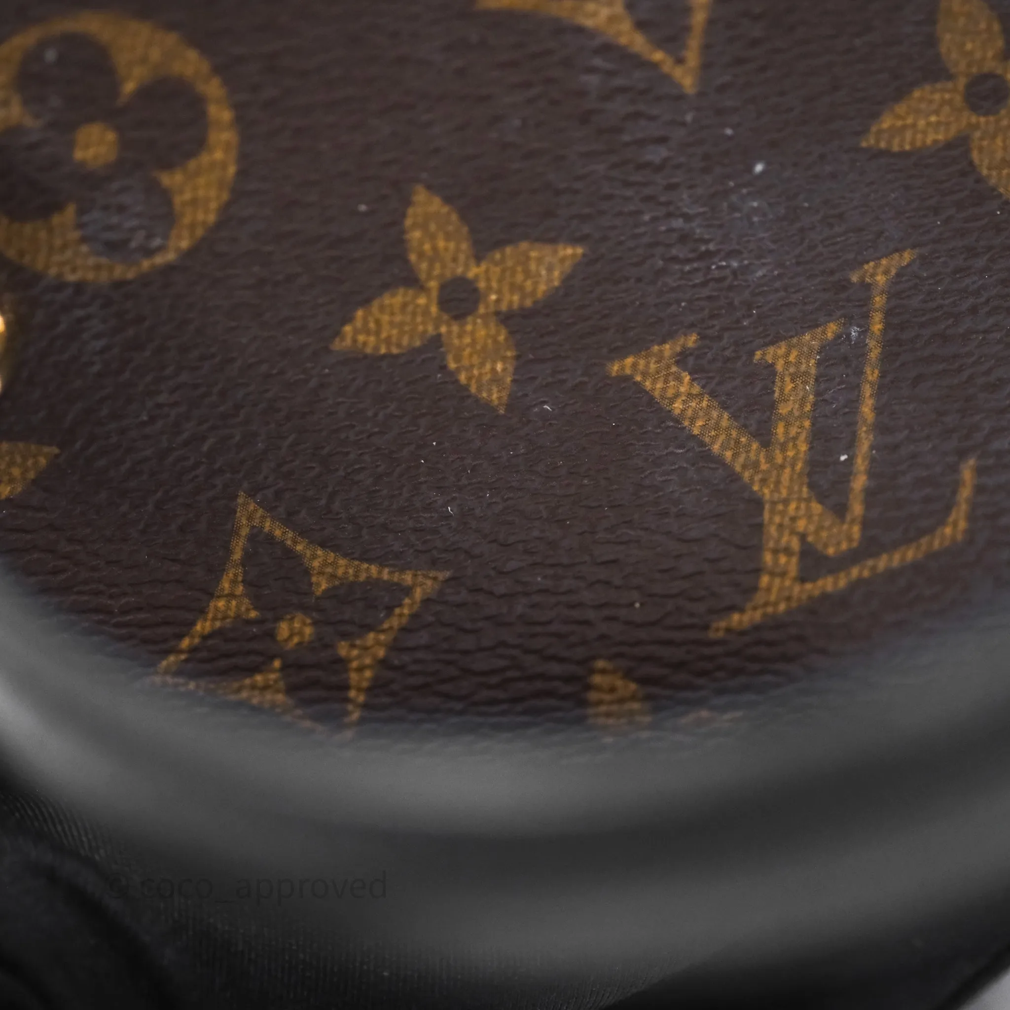 Louis Vuitton Monogram Canvas Reverse Cannes Bag