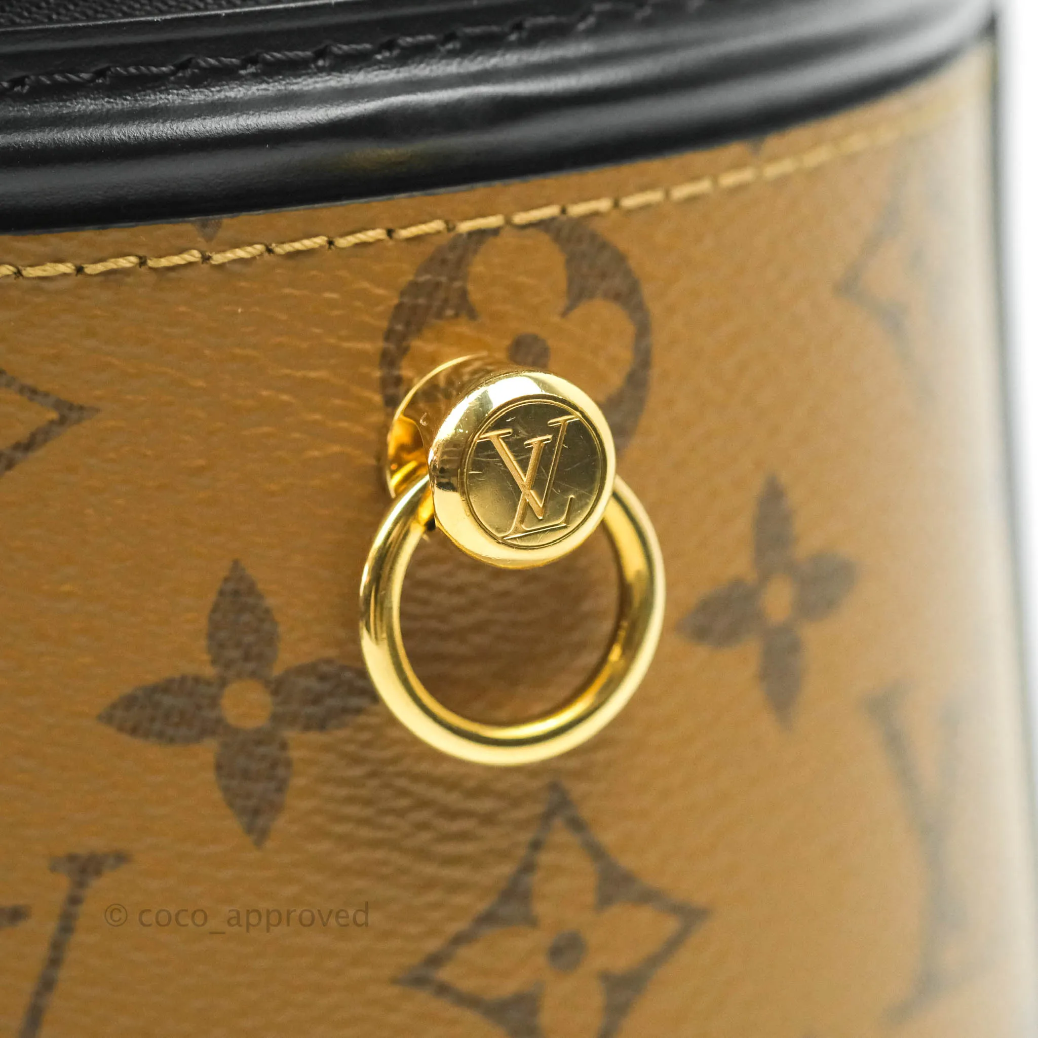 Louis Vuitton Monogram Canvas Reverse Cannes Bag