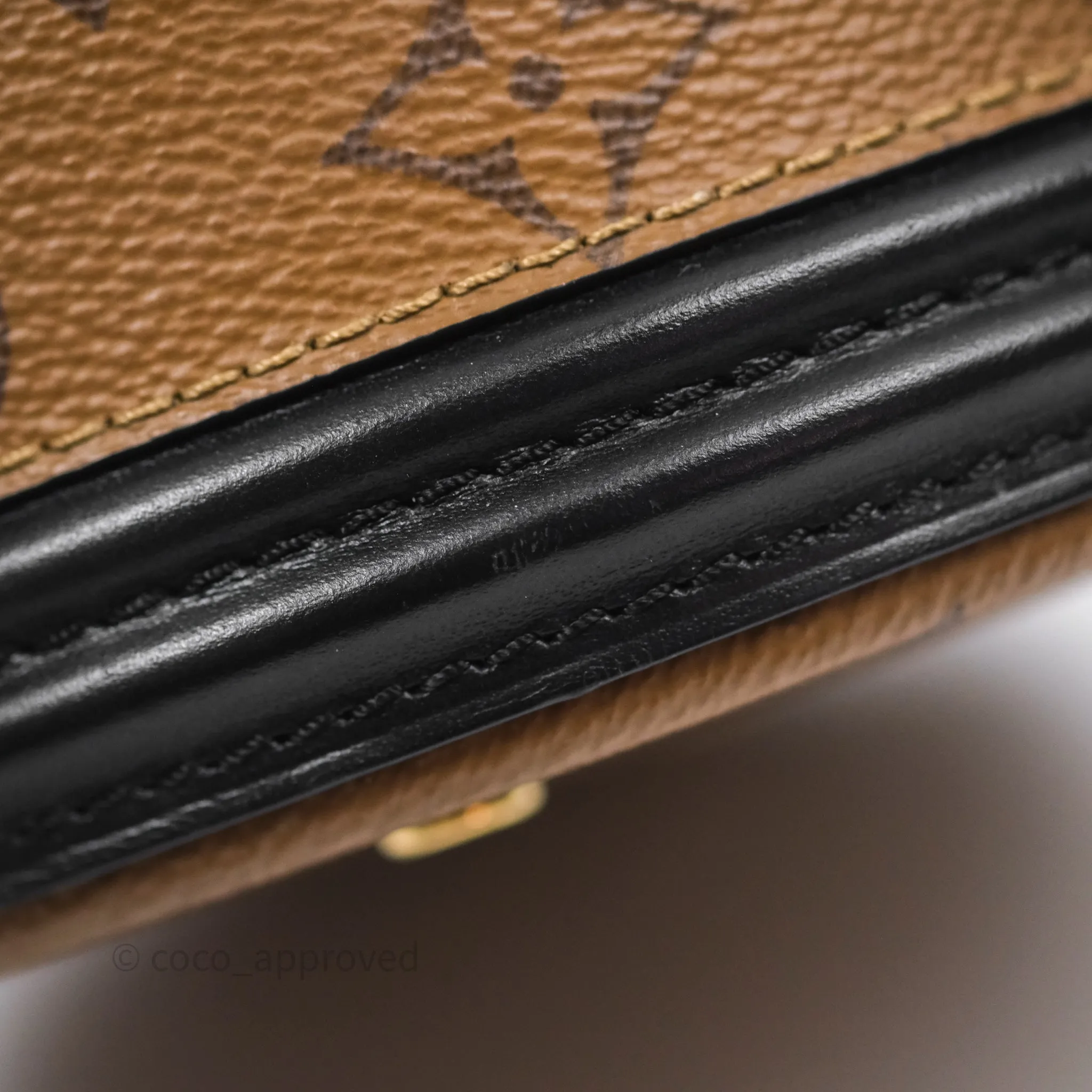Louis Vuitton Monogram Canvas Reverse Cannes Bag