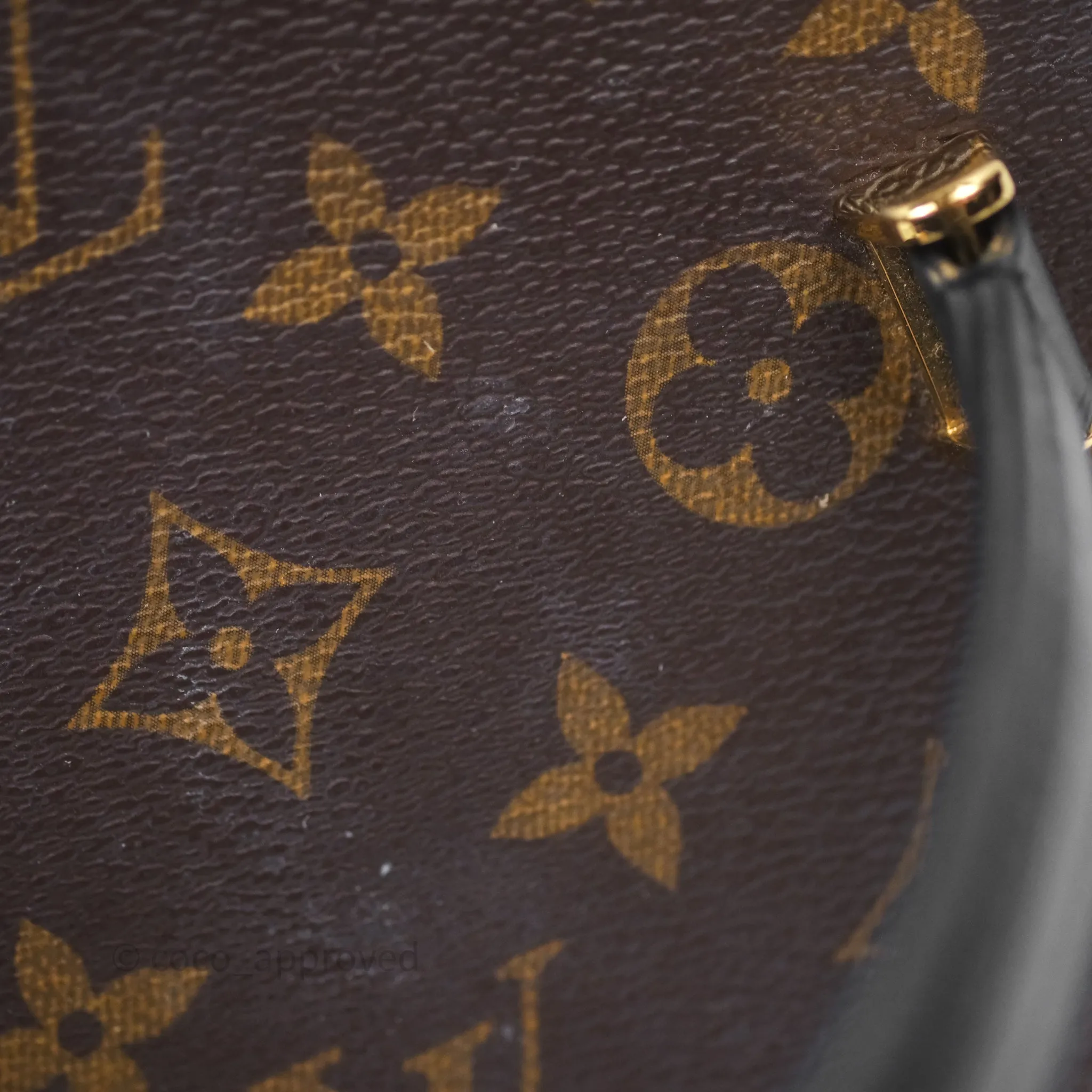 Louis Vuitton Monogram Canvas Reverse Cannes Bag