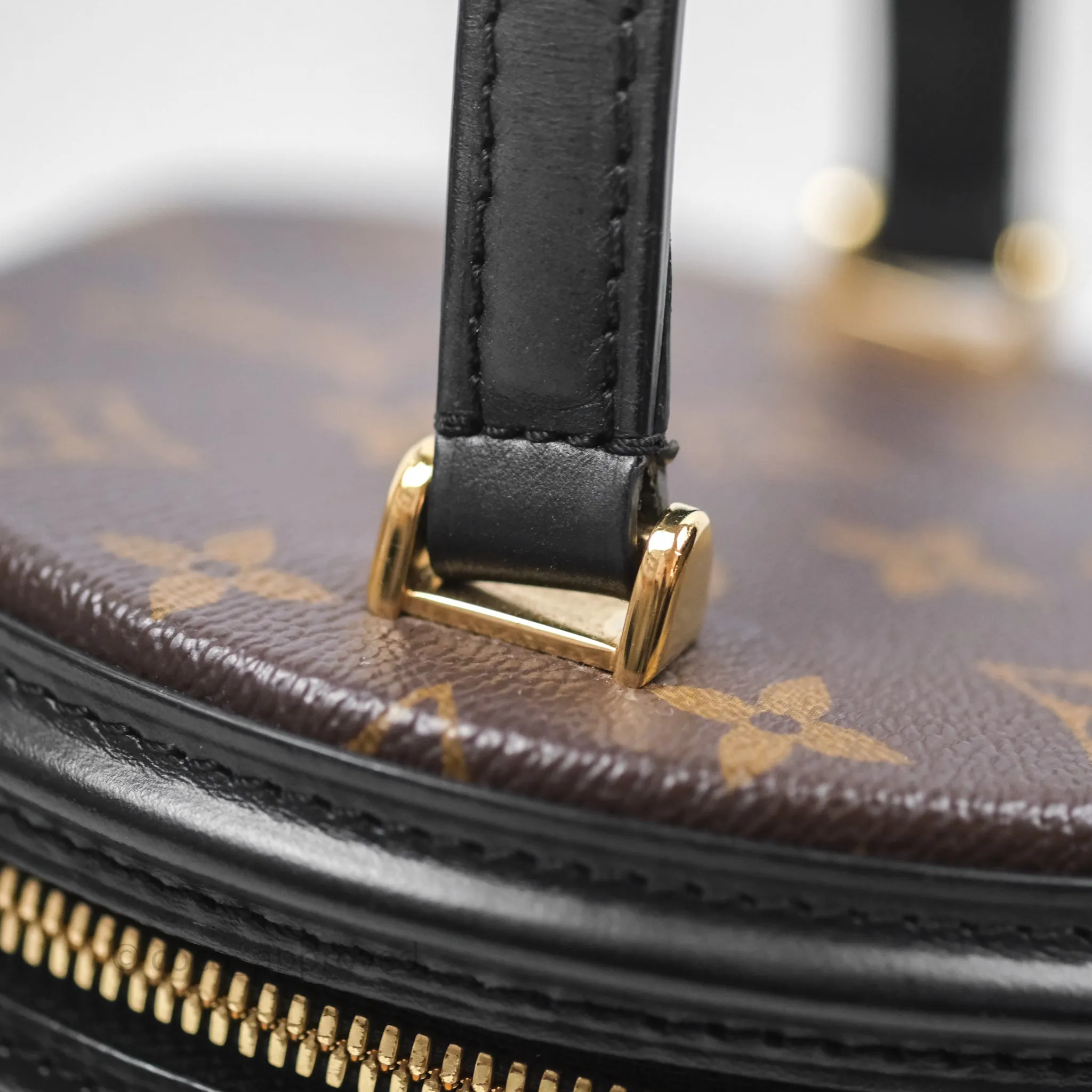 Louis Vuitton Monogram Canvas Reverse Cannes Bag