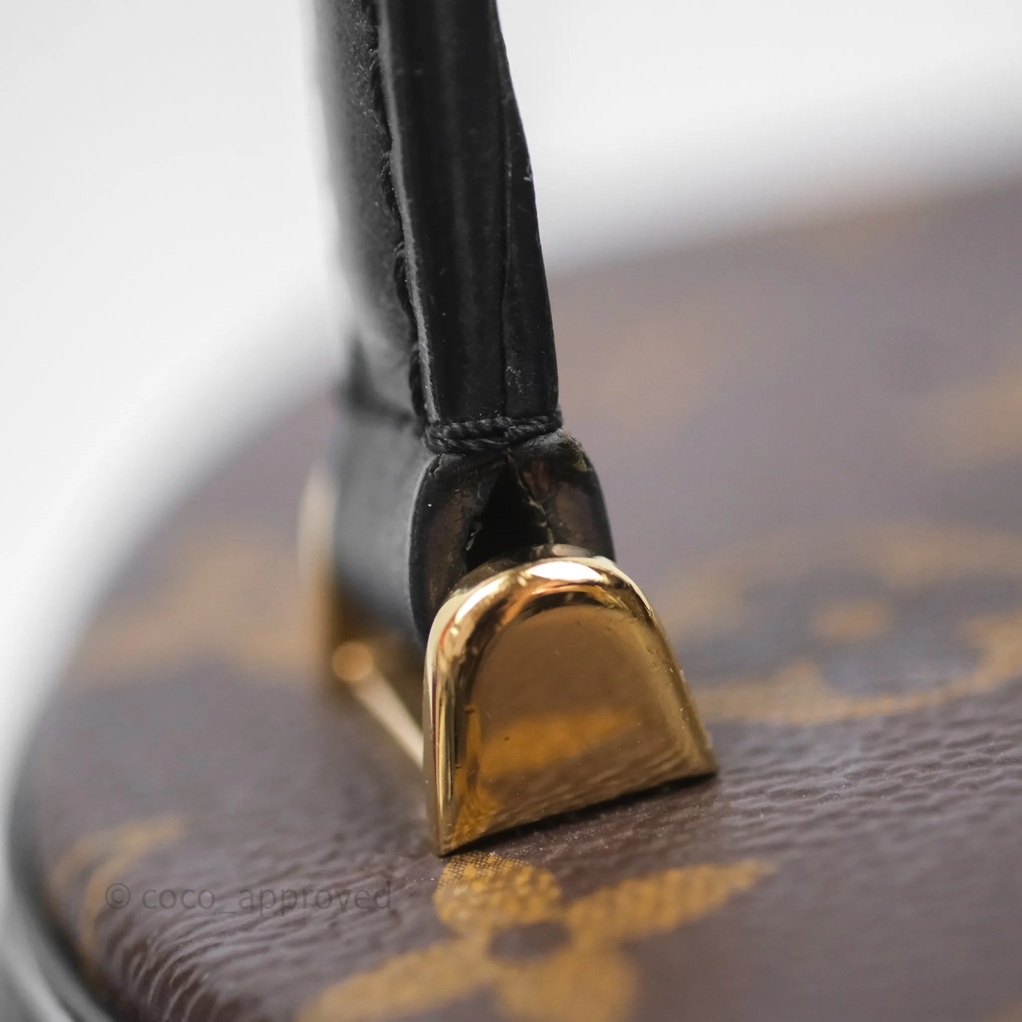Louis Vuitton Monogram Canvas Reverse Cannes Bag