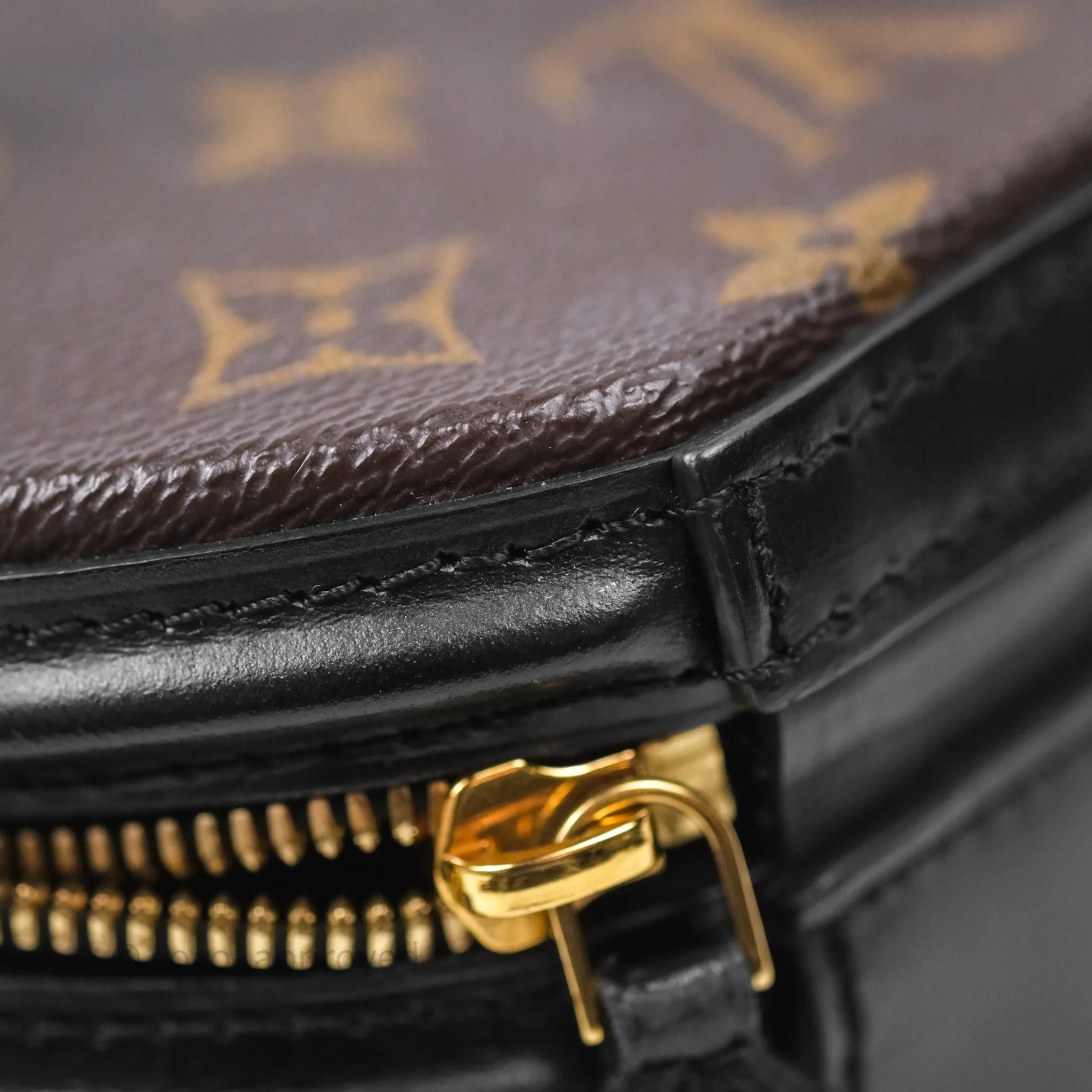 Louis Vuitton Monogram Canvas Reverse Cannes Bag