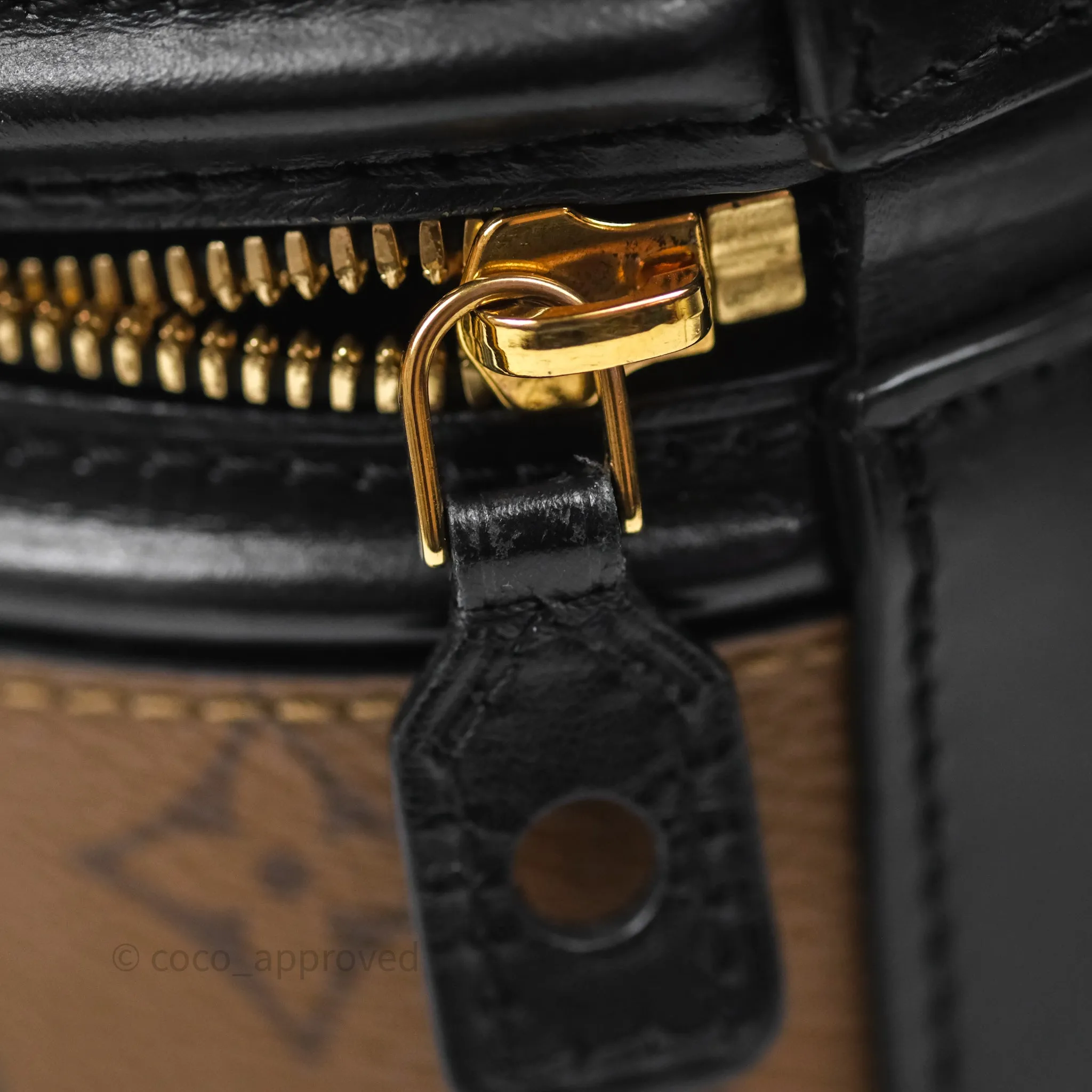 Louis Vuitton Monogram Canvas Reverse Cannes Bag