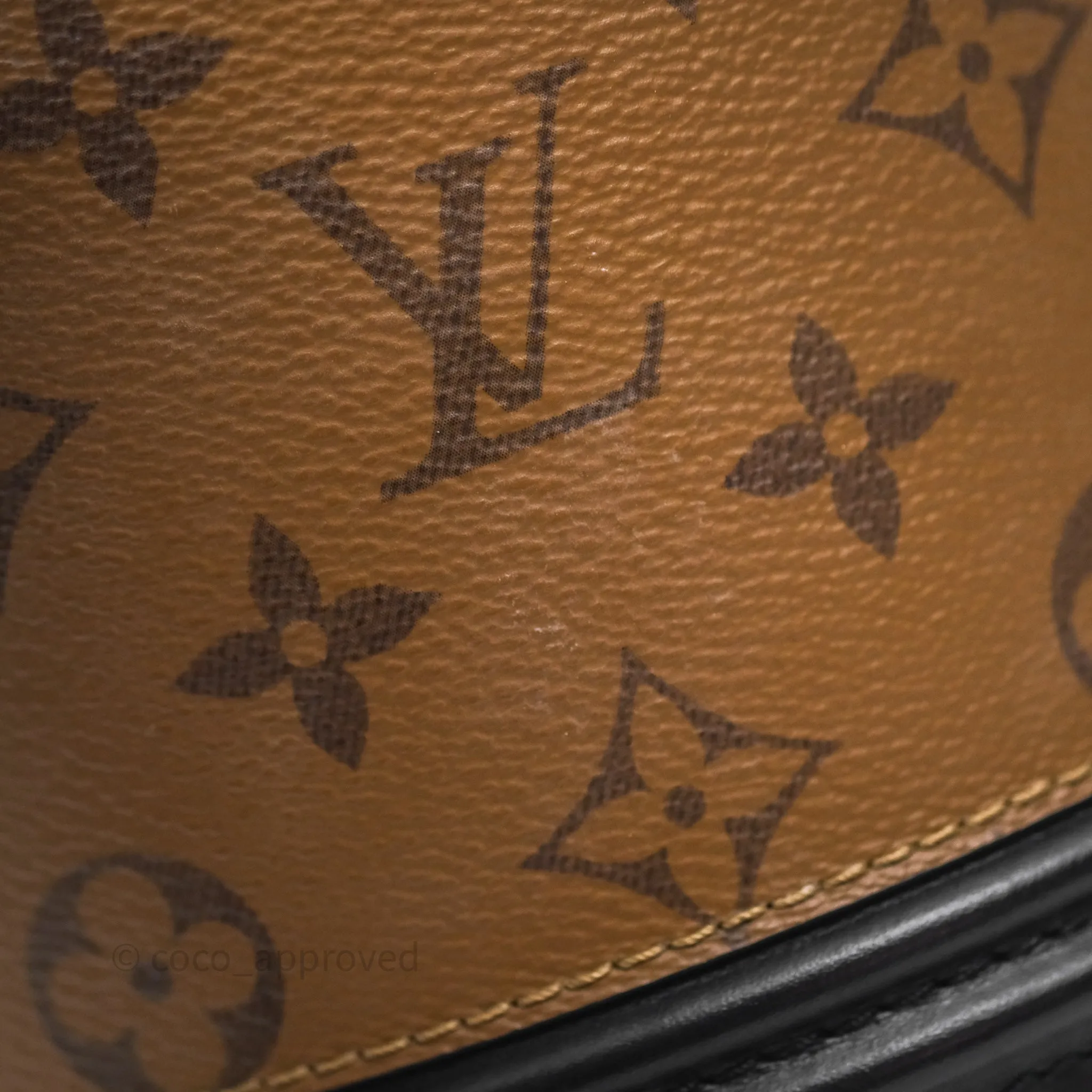 Louis Vuitton Monogram Canvas Reverse Cannes Bag