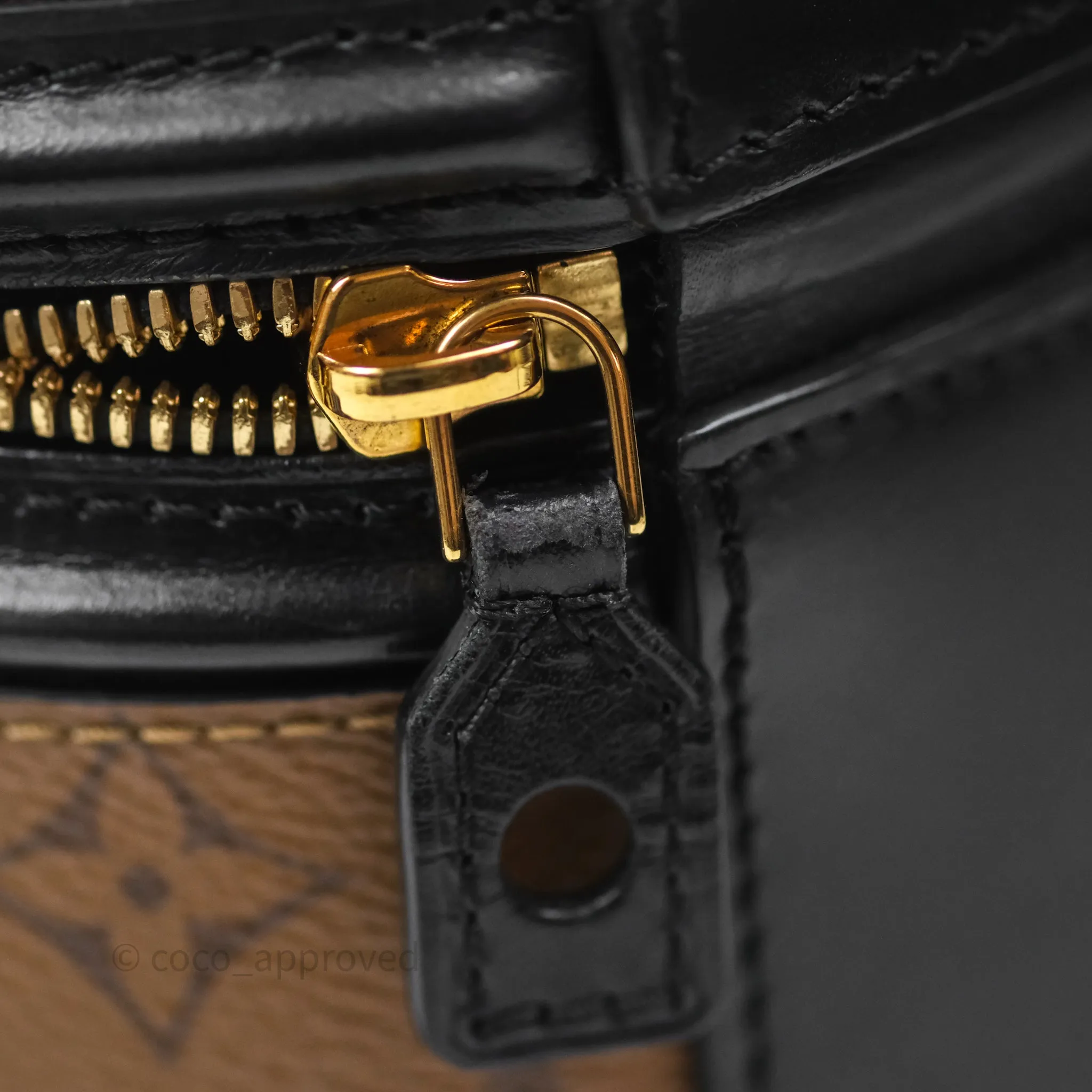 Louis Vuitton Monogram Canvas Reverse Cannes Bag