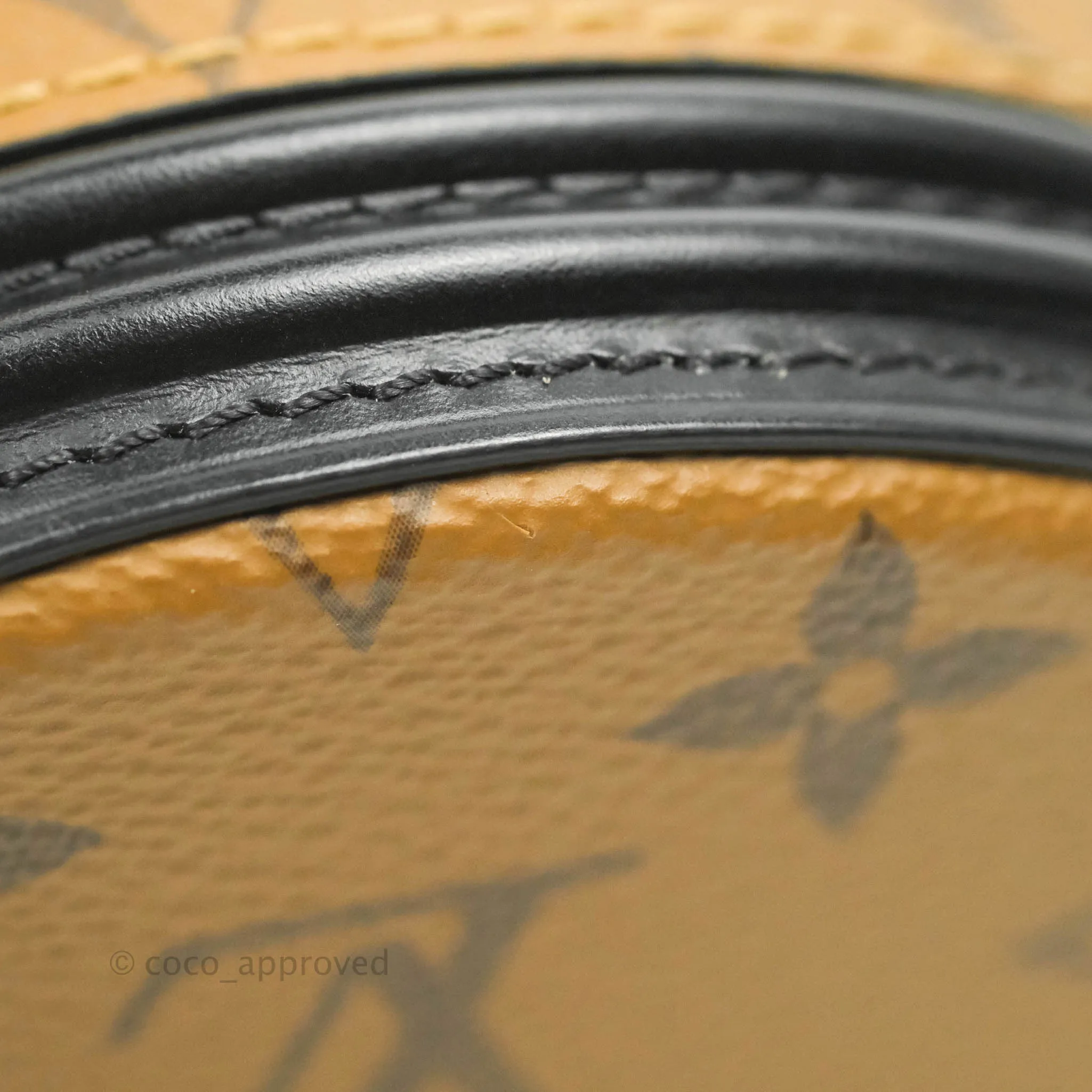 Louis Vuitton Monogram Canvas Reverse Cannes Bag