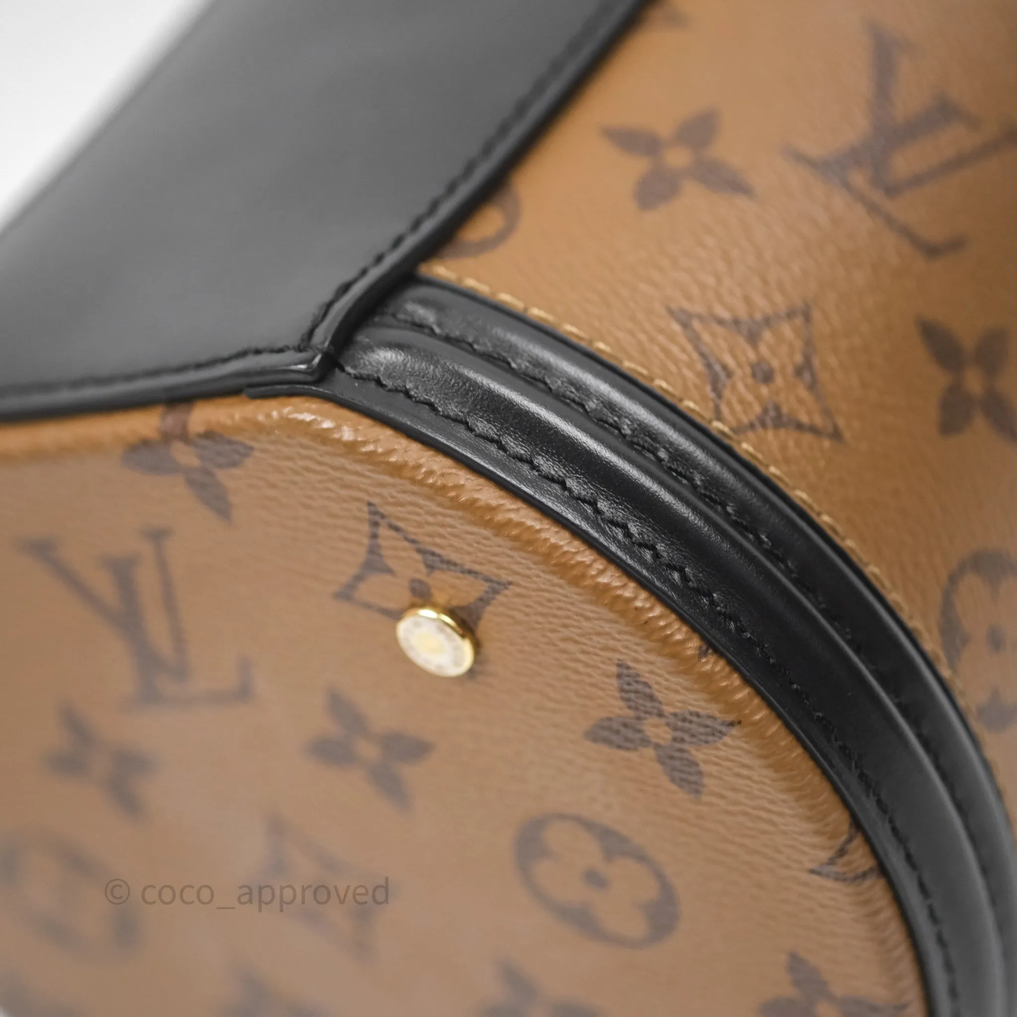 Louis Vuitton Monogram Canvas Reverse Cannes Bag
