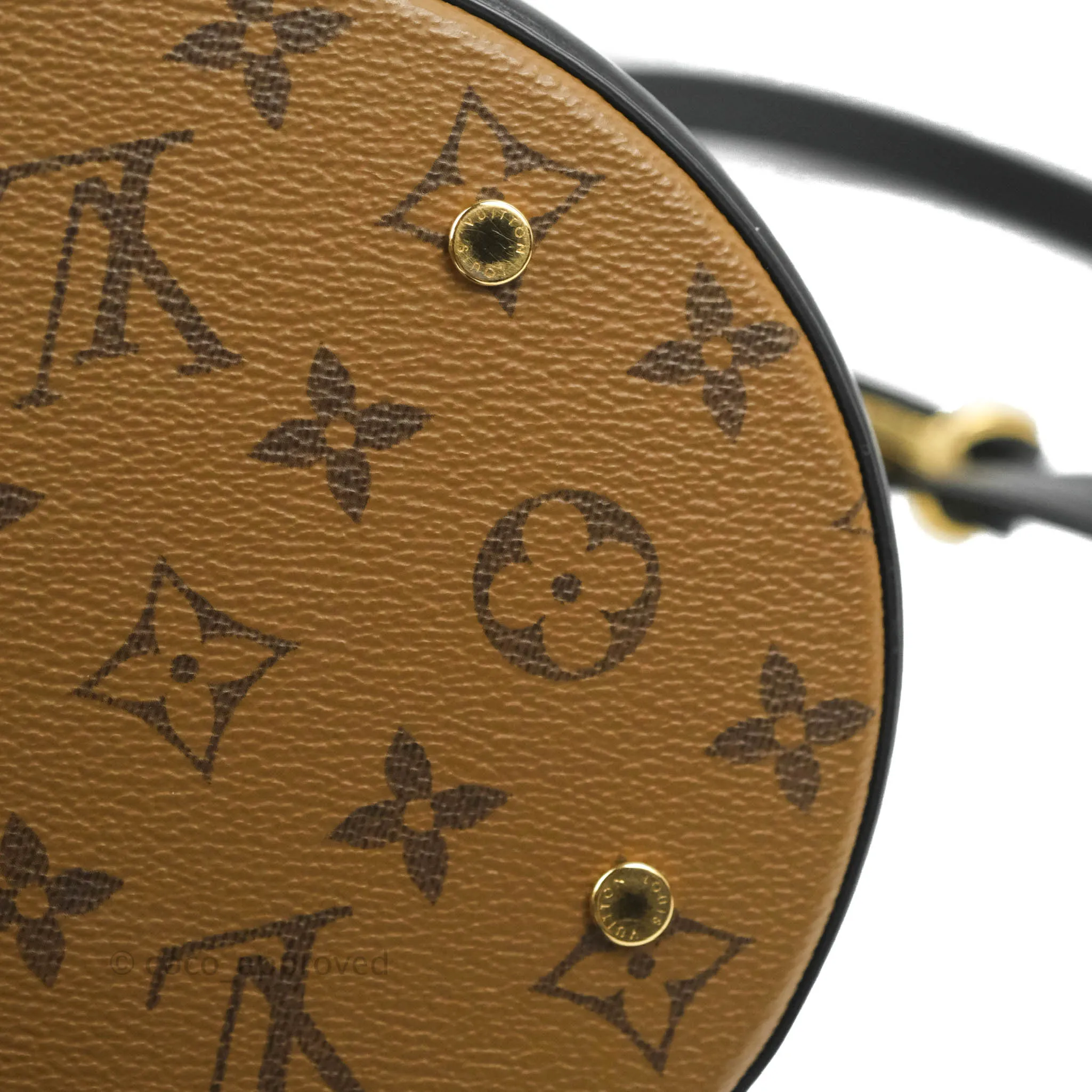 Louis Vuitton Monogram Canvas Reverse Cannes Bag