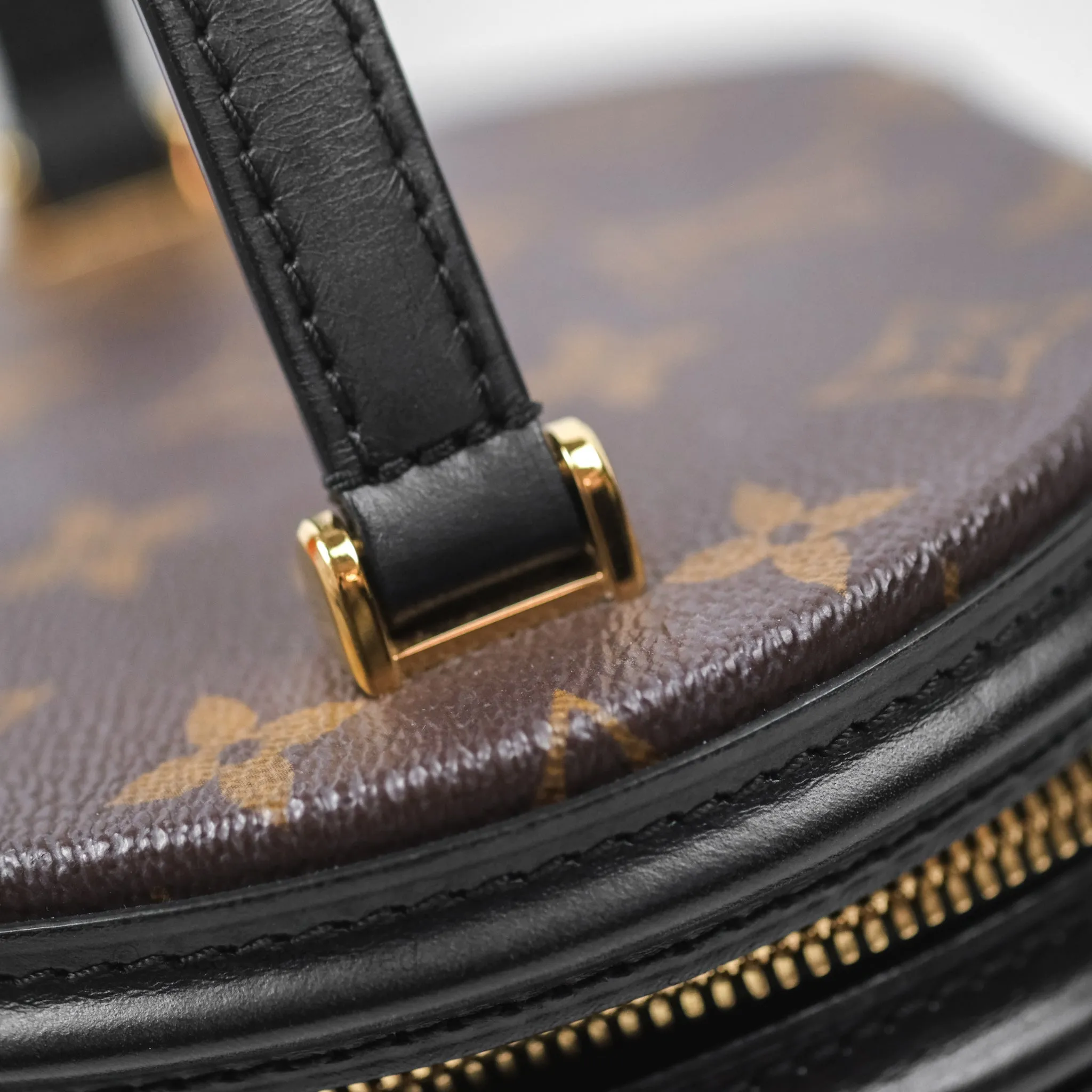 Louis Vuitton Monogram Canvas Reverse Cannes Bag