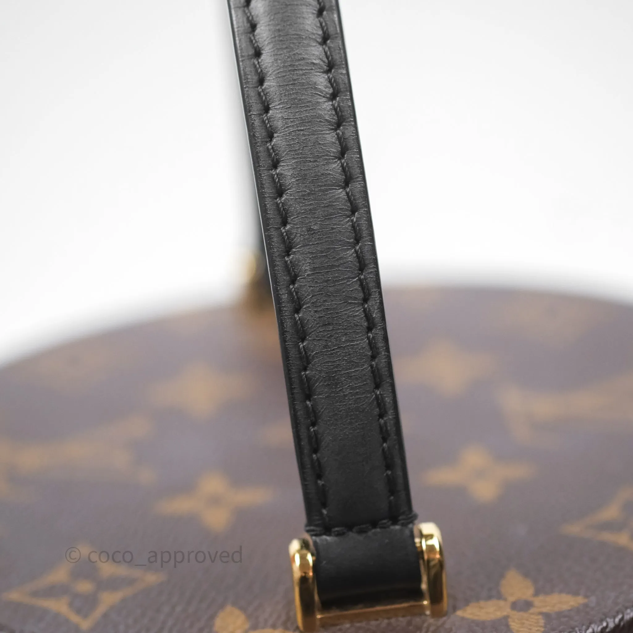 Louis Vuitton Monogram Canvas Reverse Cannes Bag