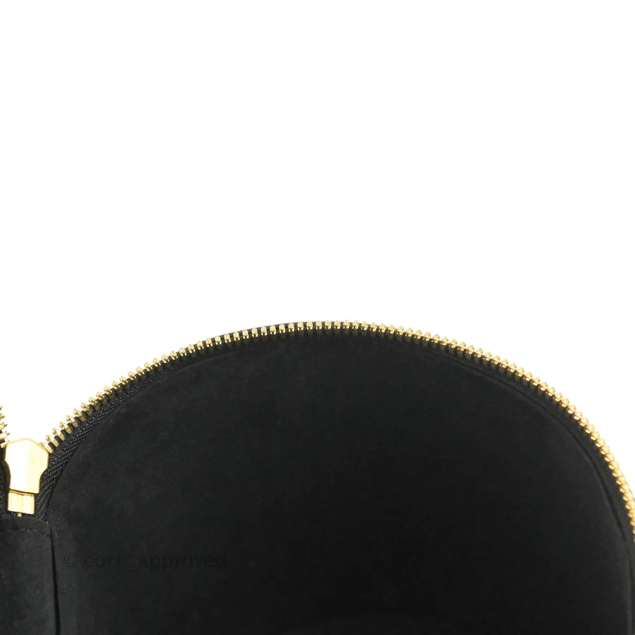 Louis Vuitton Monogram Canvas Reverse Cannes Bag