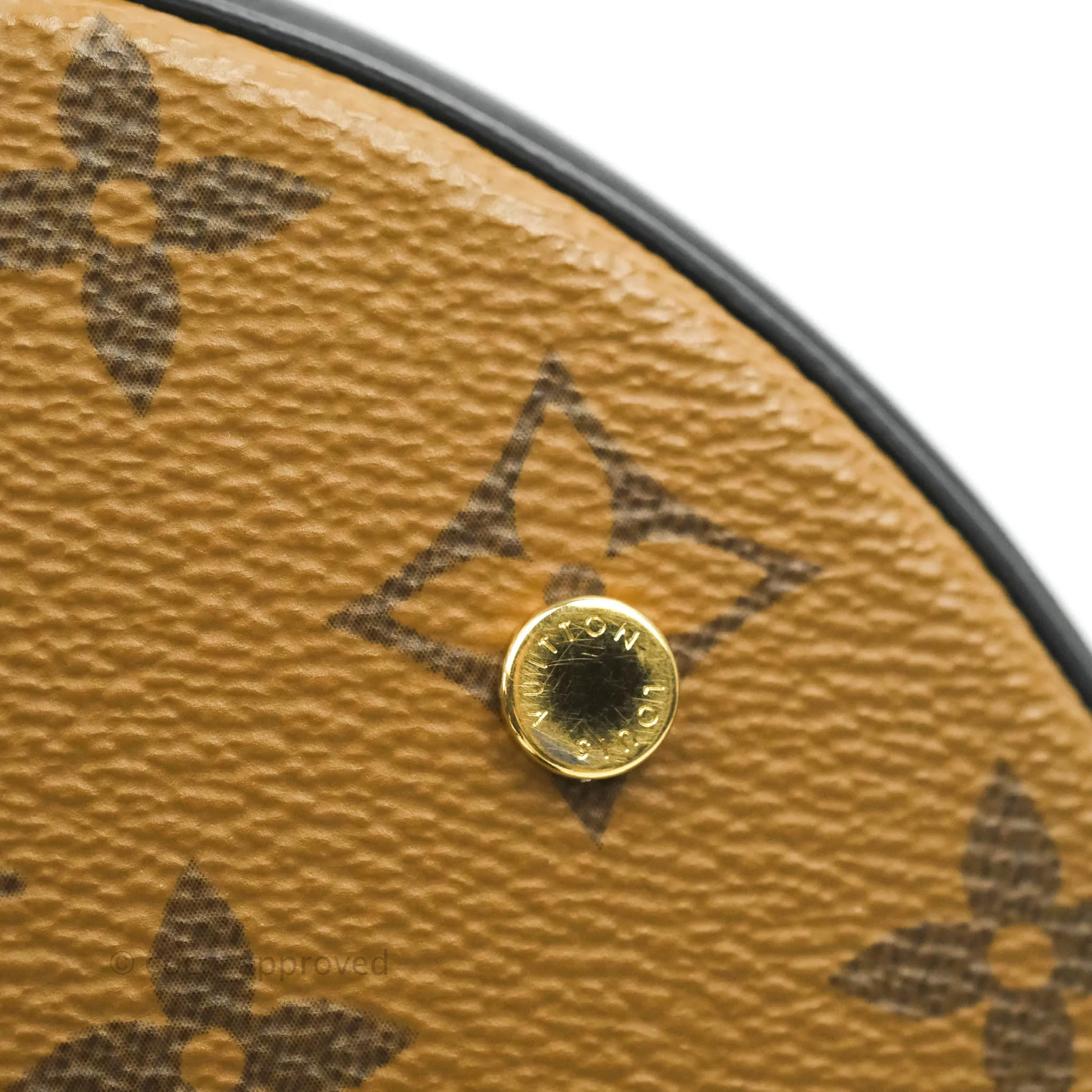 Louis Vuitton Monogram Canvas Reverse Cannes Bag
