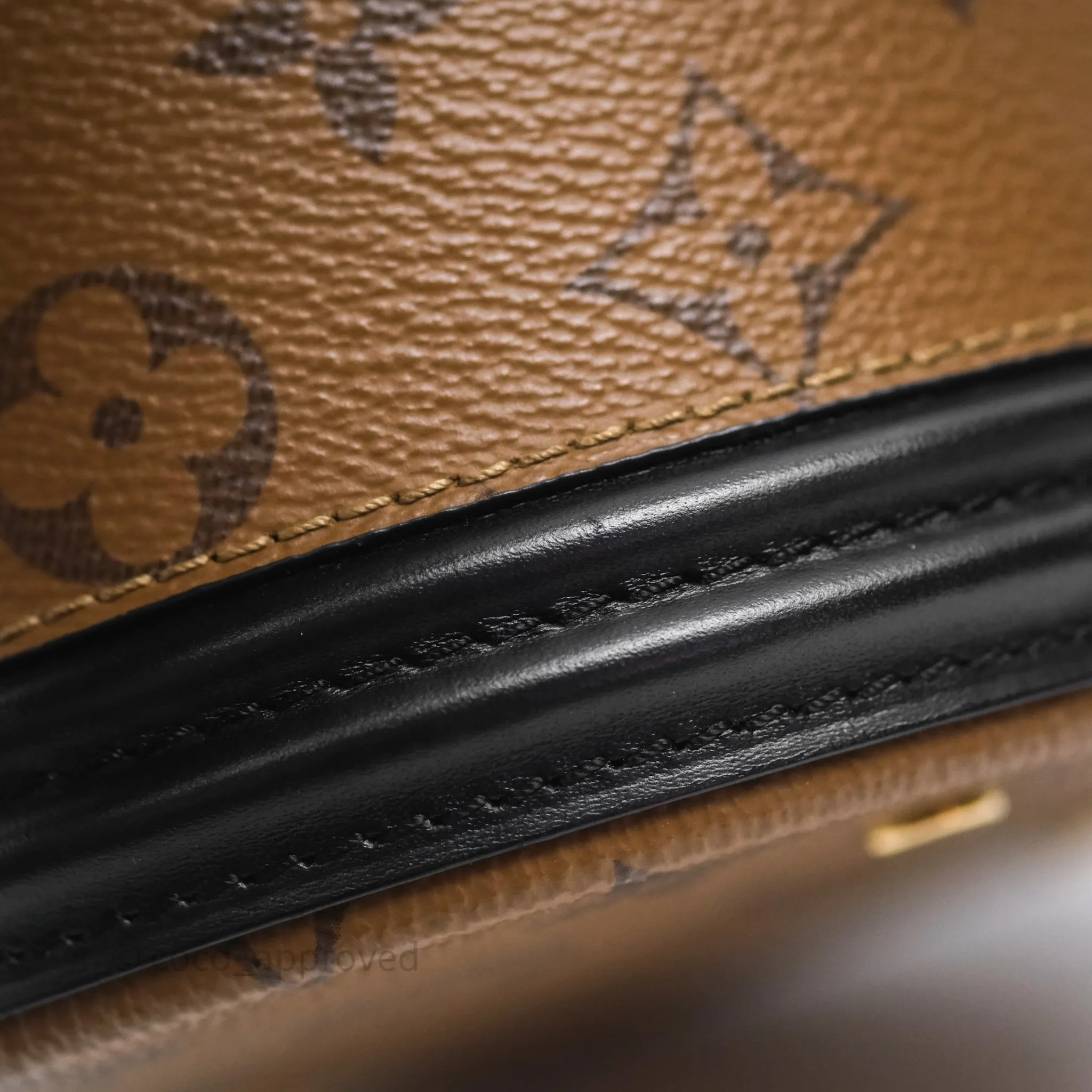Louis Vuitton Monogram Canvas Reverse Cannes Bag