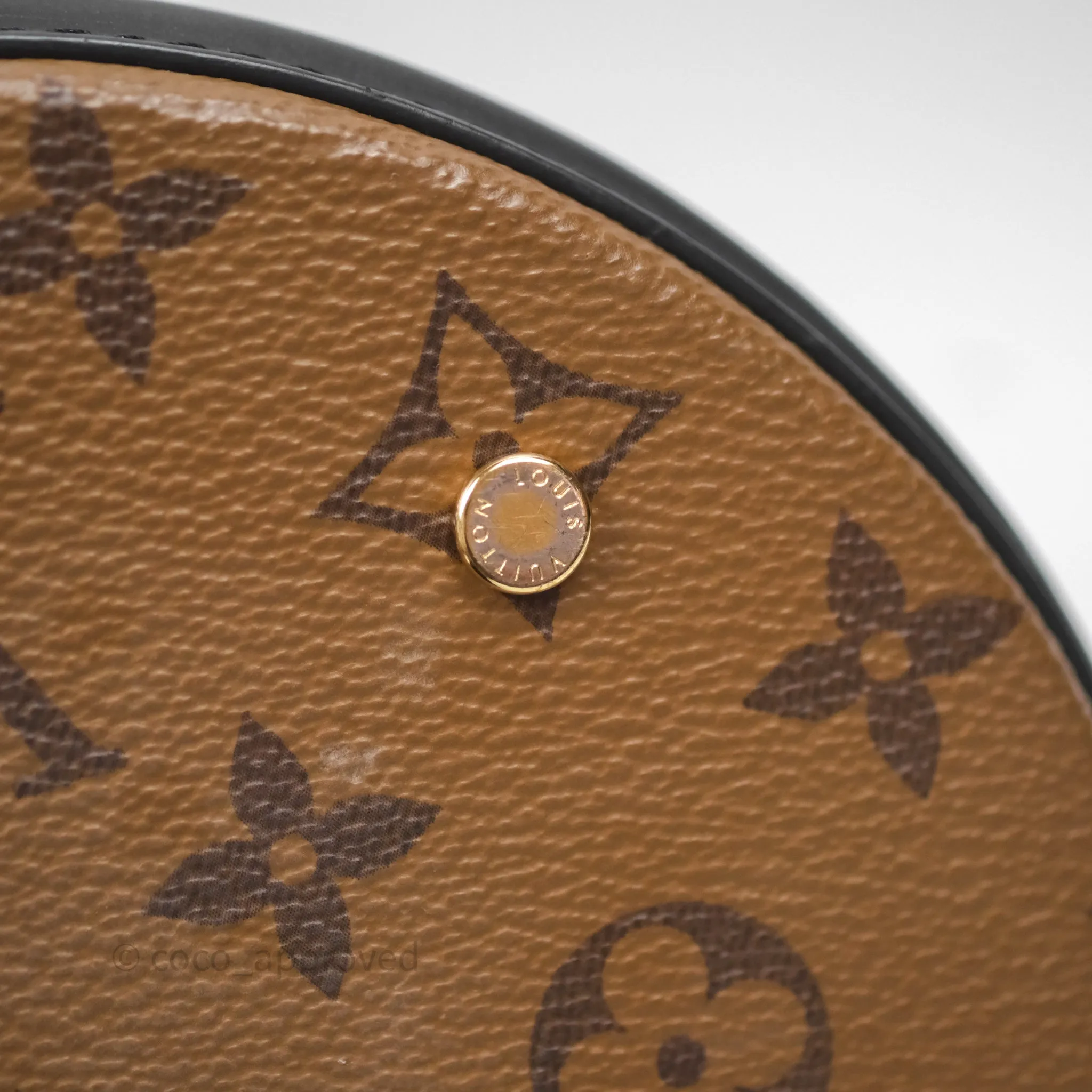 Louis Vuitton Monogram Canvas Reverse Cannes Bag
