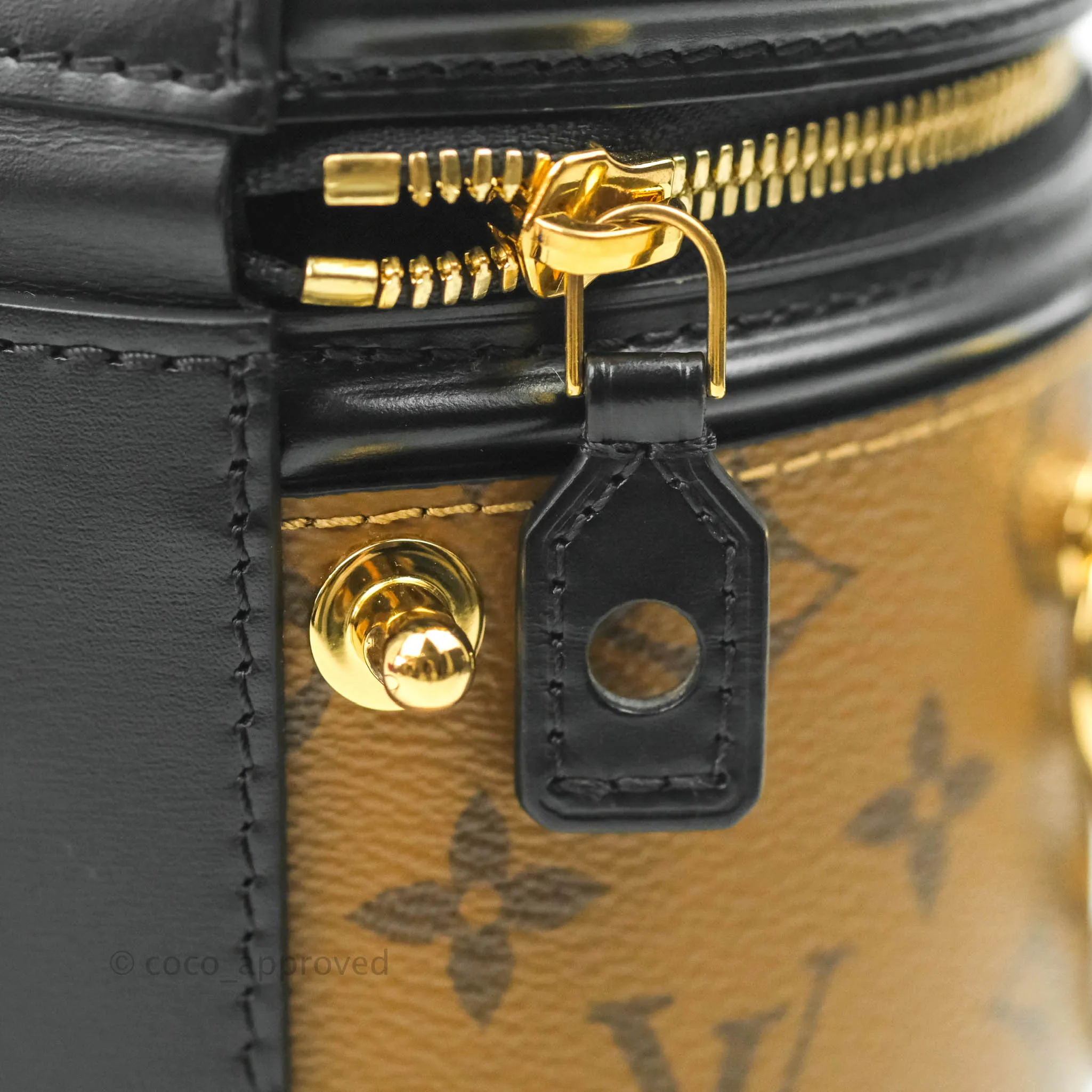 Louis Vuitton Monogram Canvas Reverse Cannes Bag