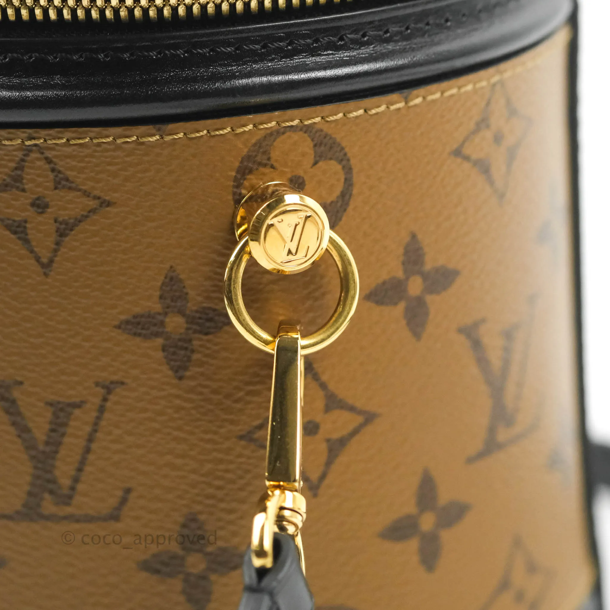 Louis Vuitton Monogram Canvas Reverse Cannes Bag