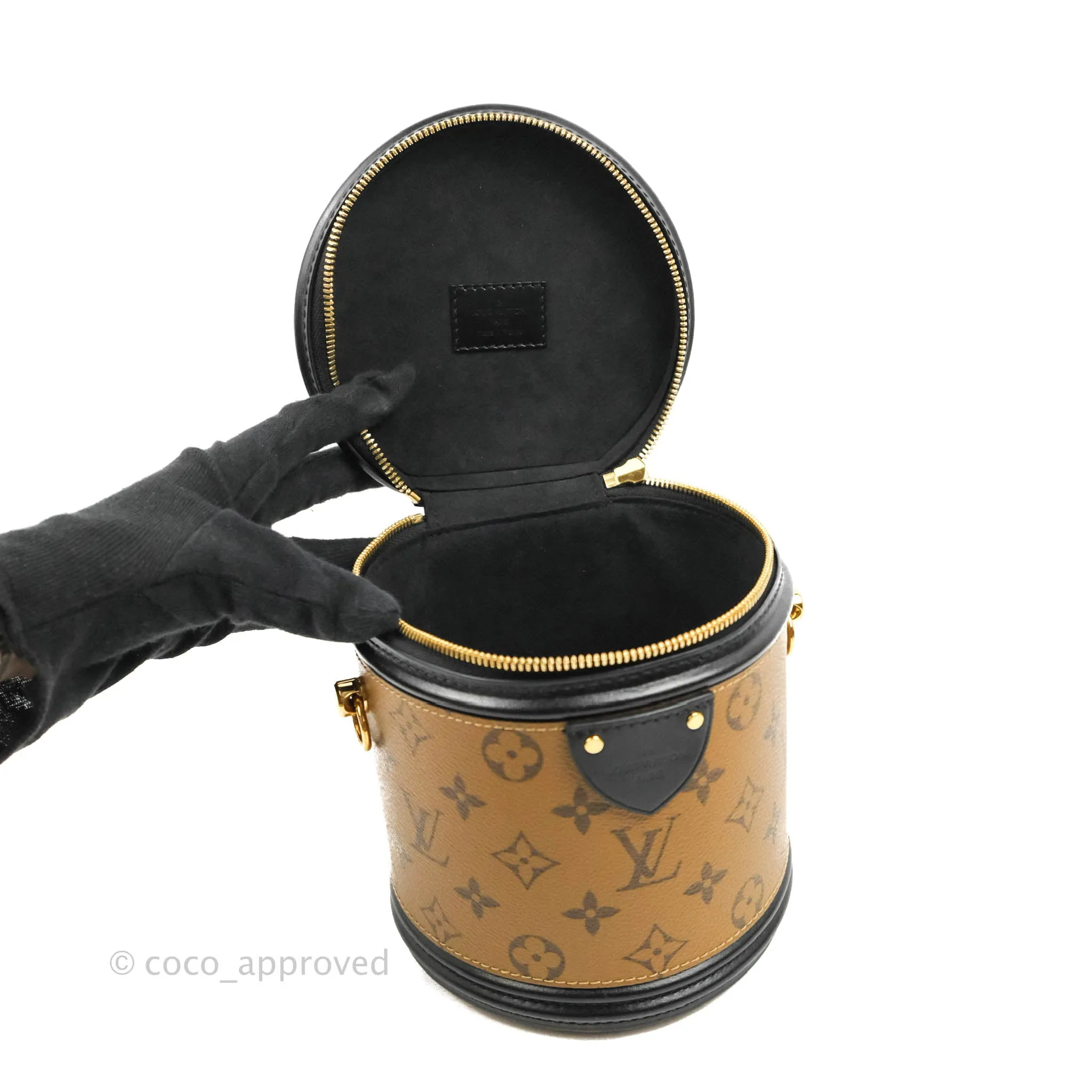 Louis Vuitton Monogram Canvas Reverse Cannes Bag