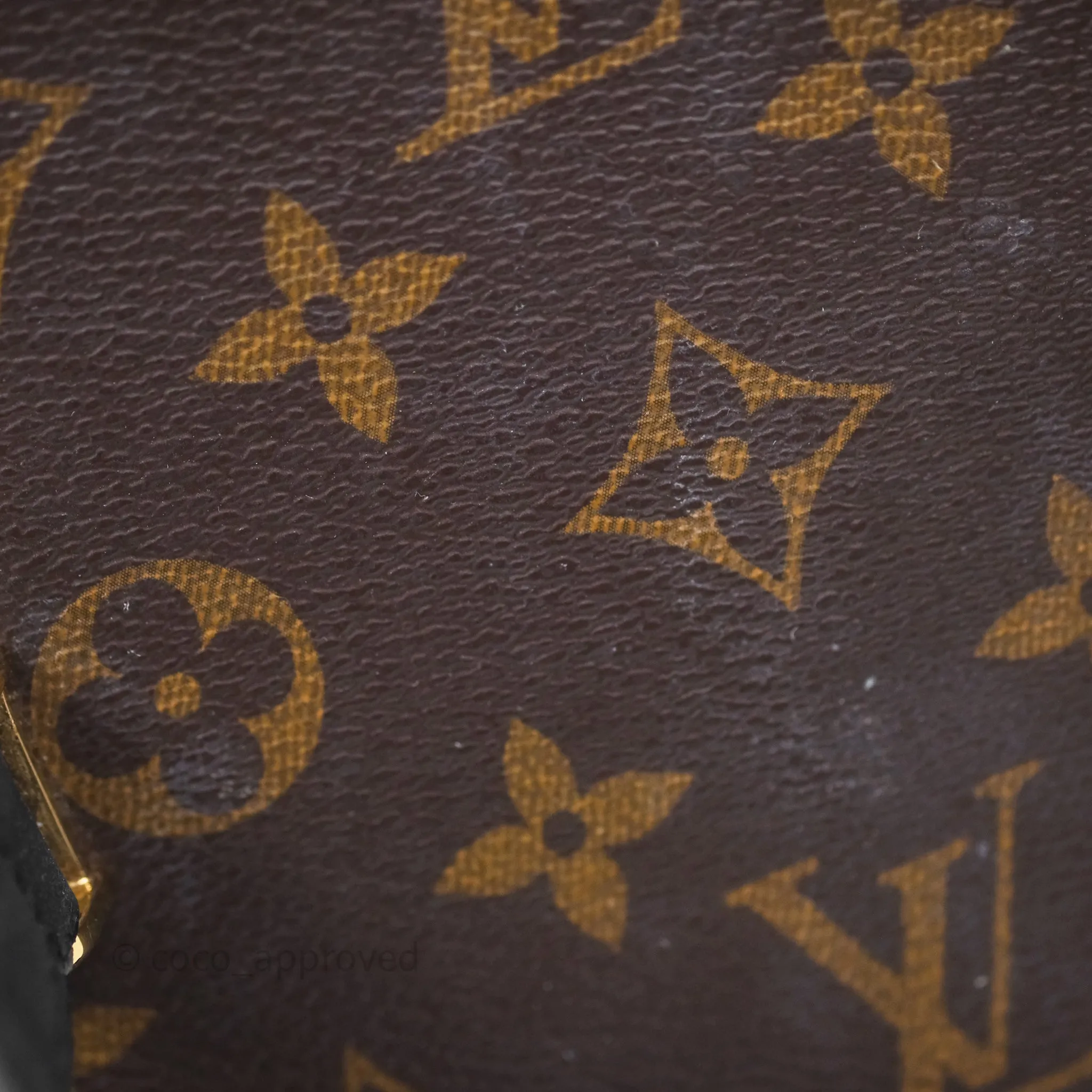 Louis Vuitton Monogram Canvas Reverse Cannes Bag