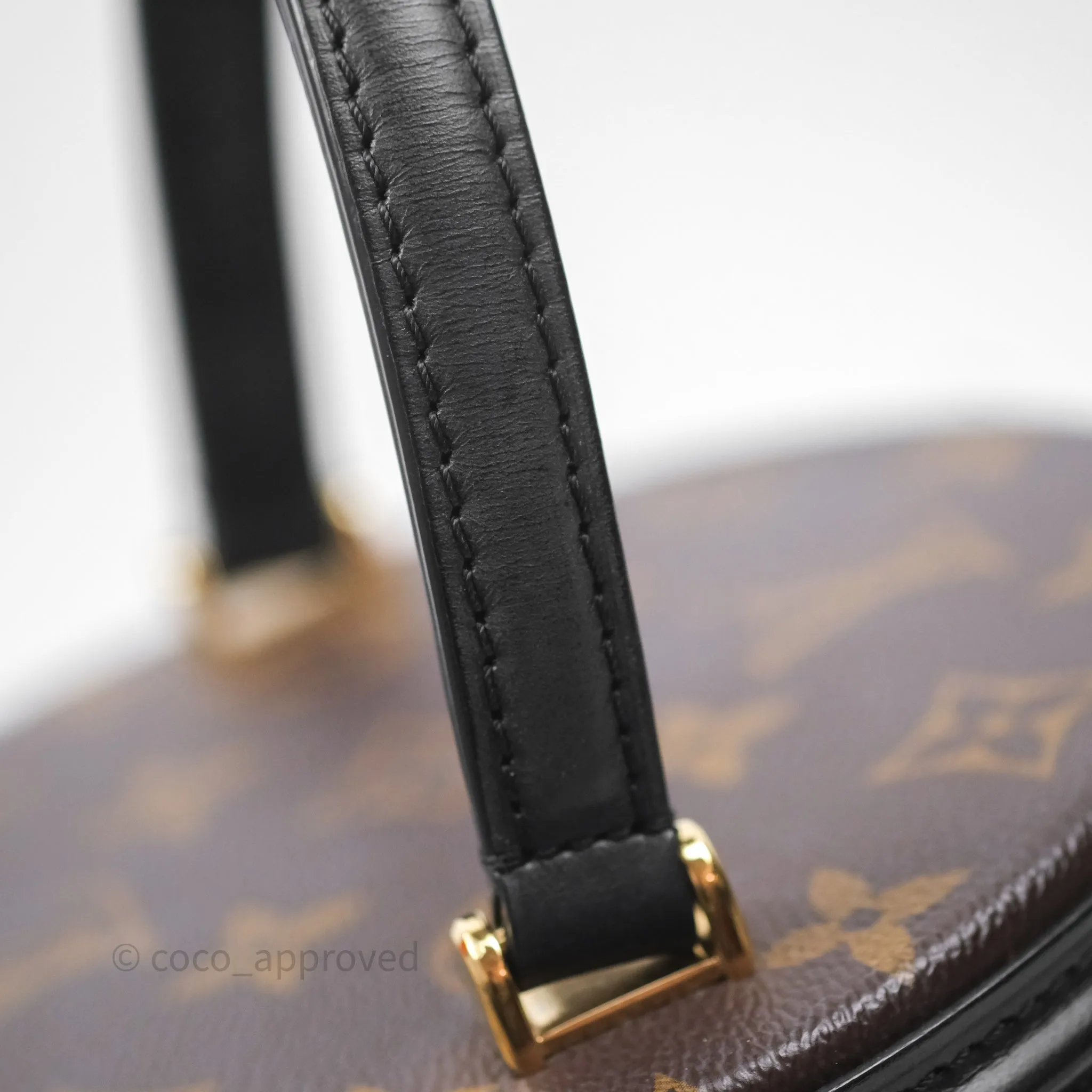 Louis Vuitton Monogram Canvas Reverse Cannes Bag