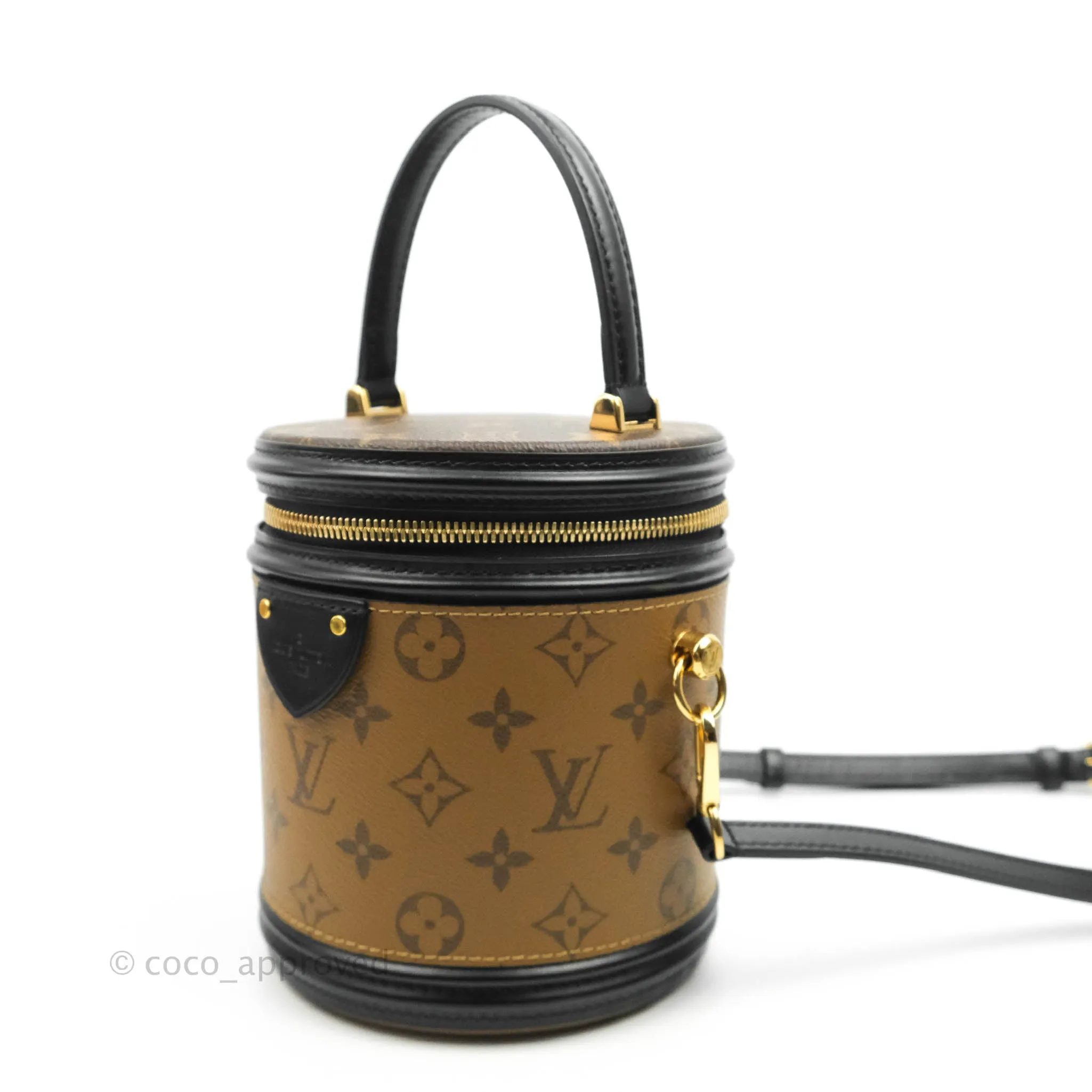 Louis Vuitton Monogram Canvas Reverse Cannes Bag