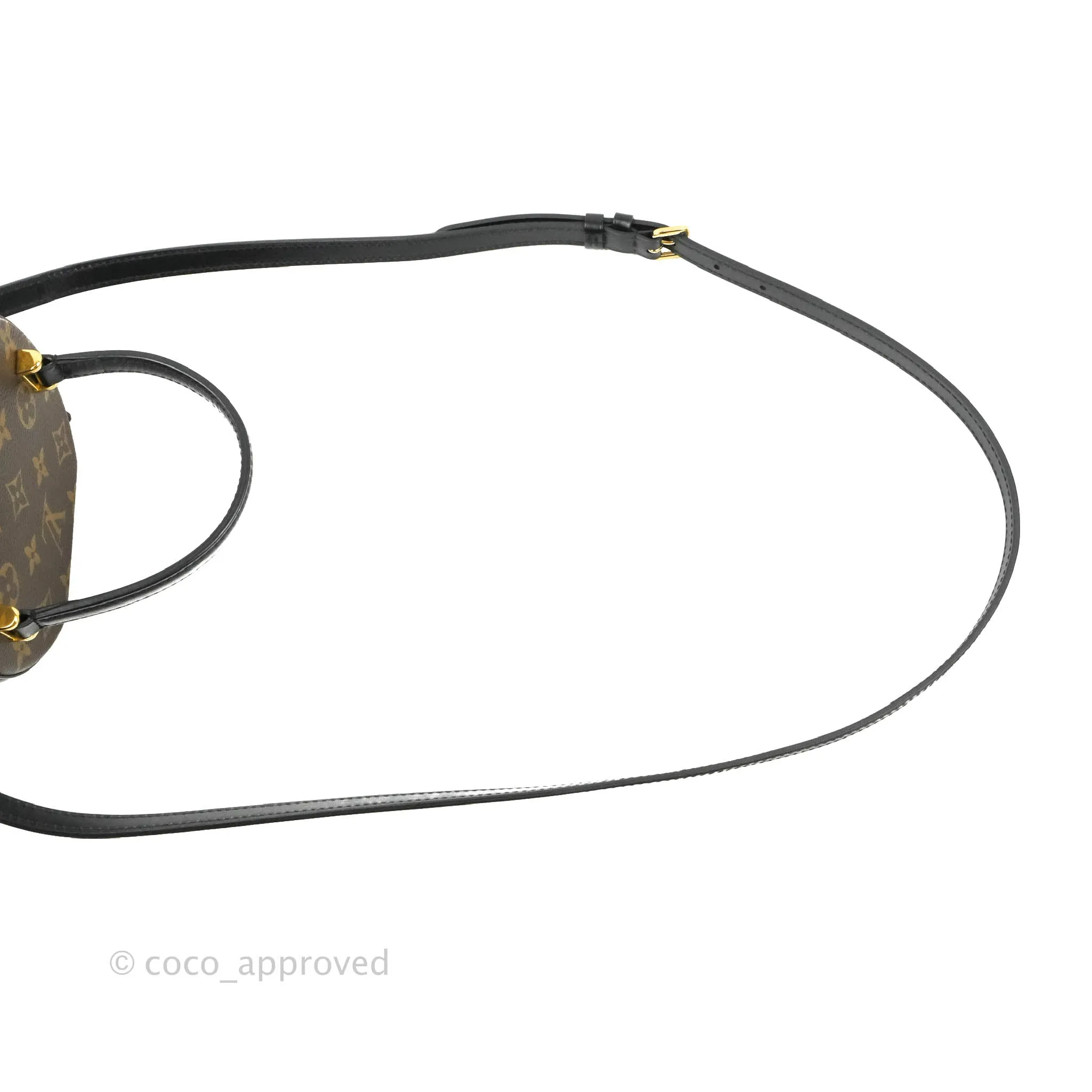 Louis Vuitton Monogram Canvas Reverse Cannes Bag