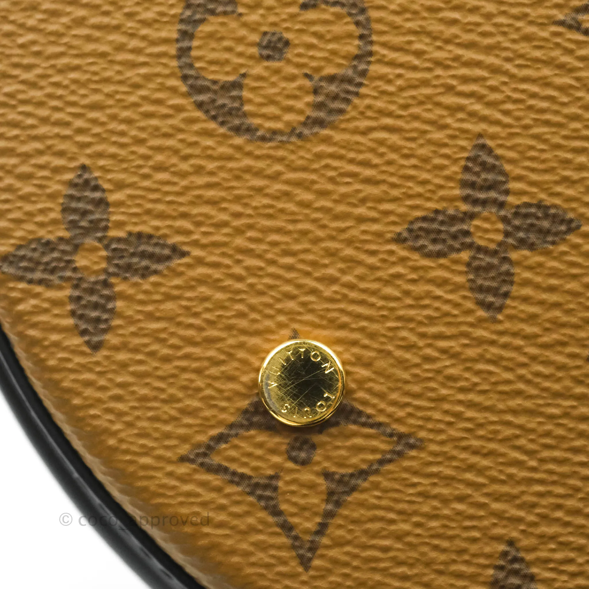 Louis Vuitton Monogram Canvas Reverse Cannes Bag