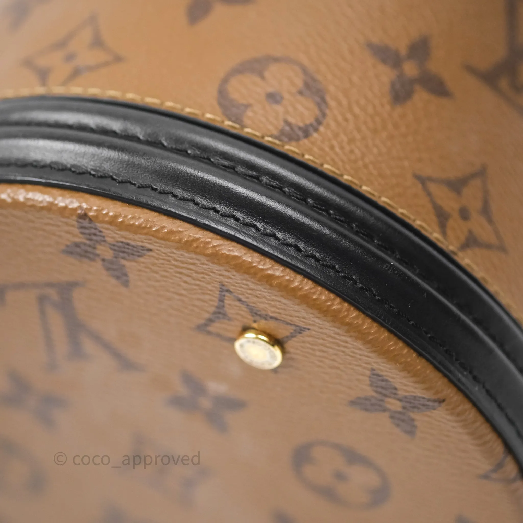 Louis Vuitton Monogram Canvas Reverse Cannes Bag