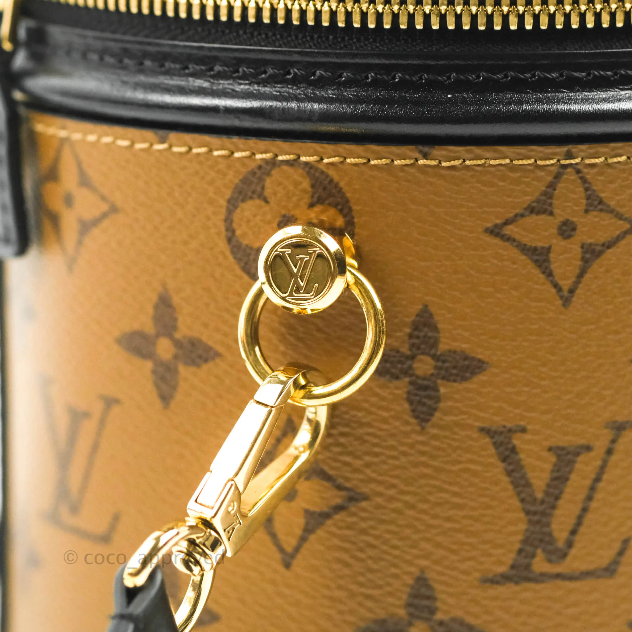 Louis Vuitton Monogram Canvas Reverse Cannes Bag