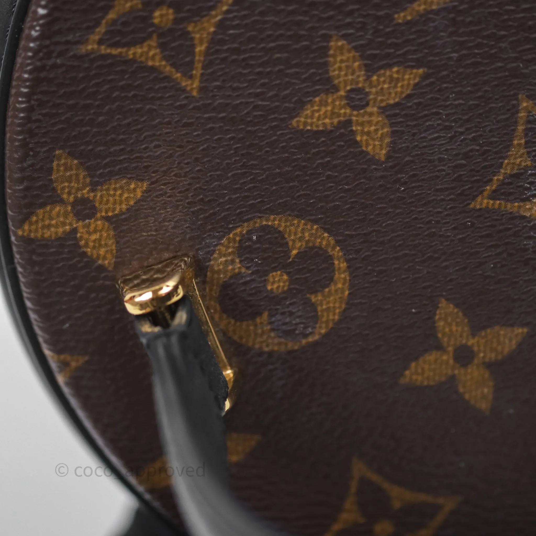 Louis Vuitton Monogram Canvas Reverse Cannes Bag